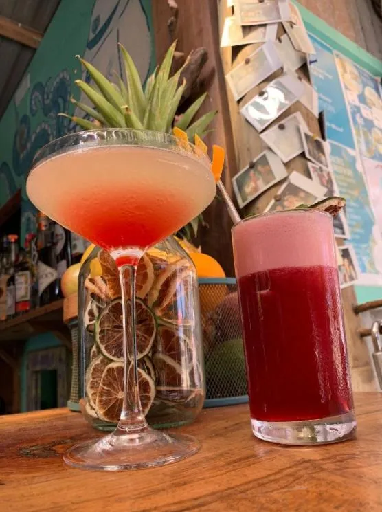 Lounge or bar in Salty's Kitesurf Village