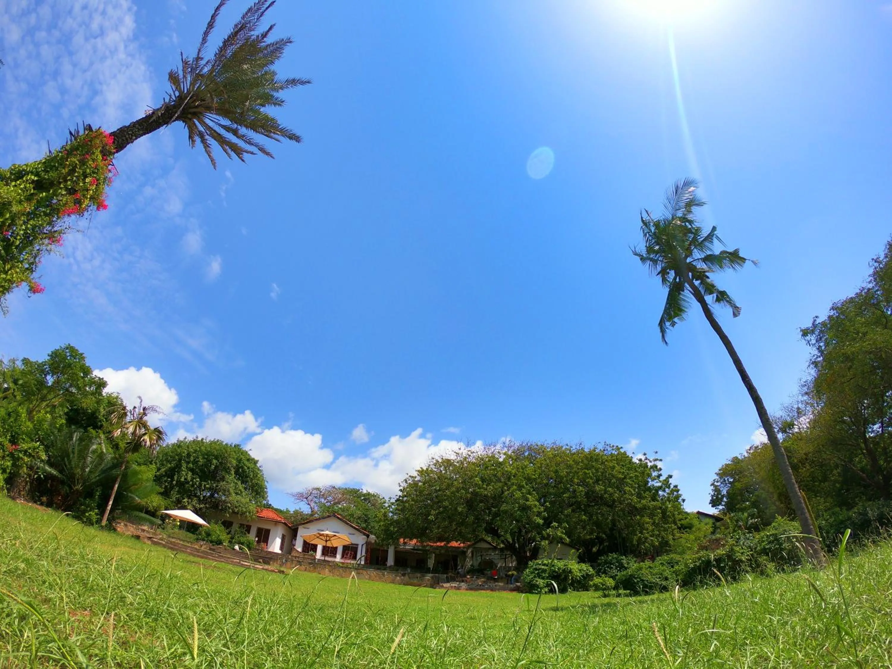 Garden in Salty's Kitesurf Village