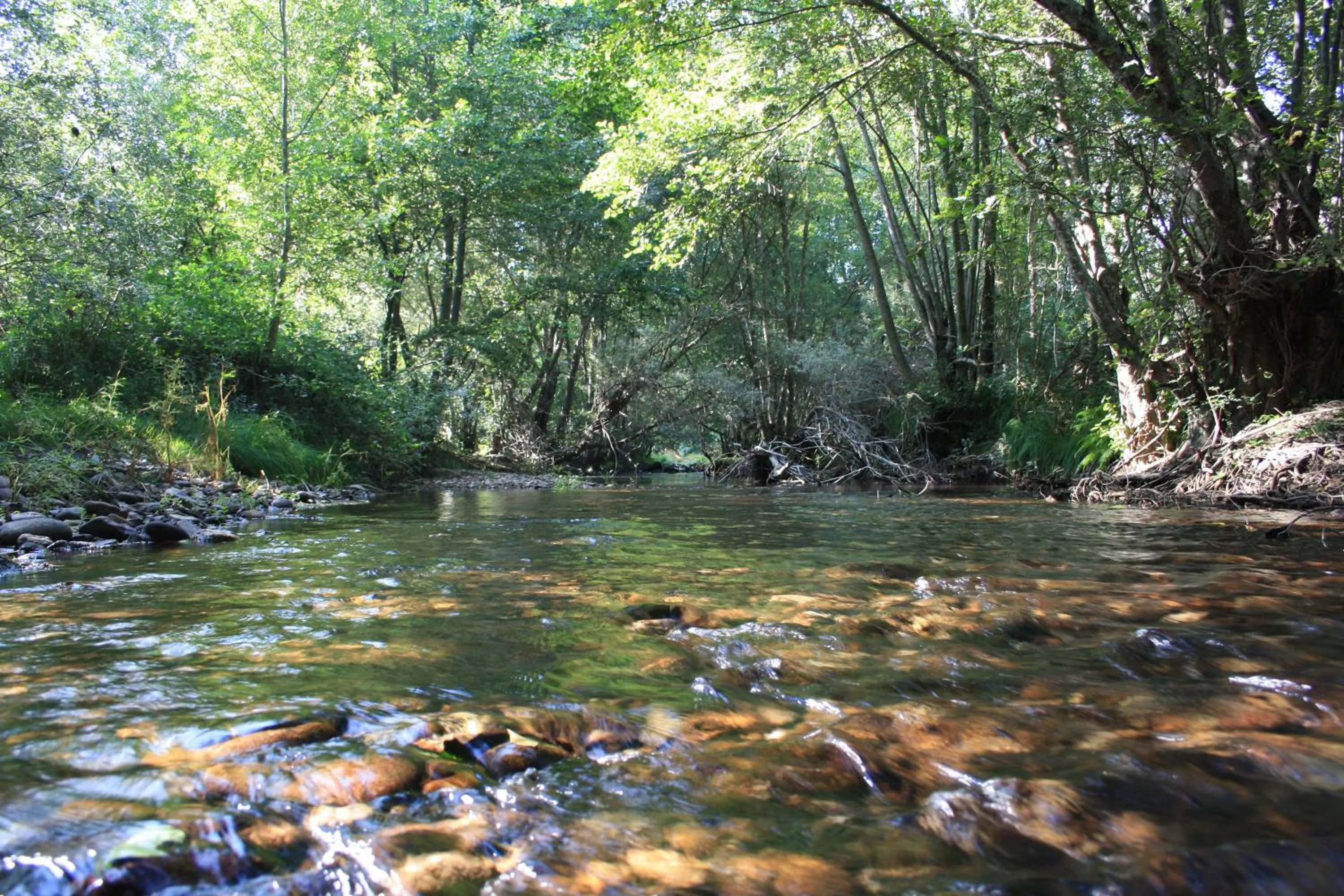 Nearby landmark in O Bilhó