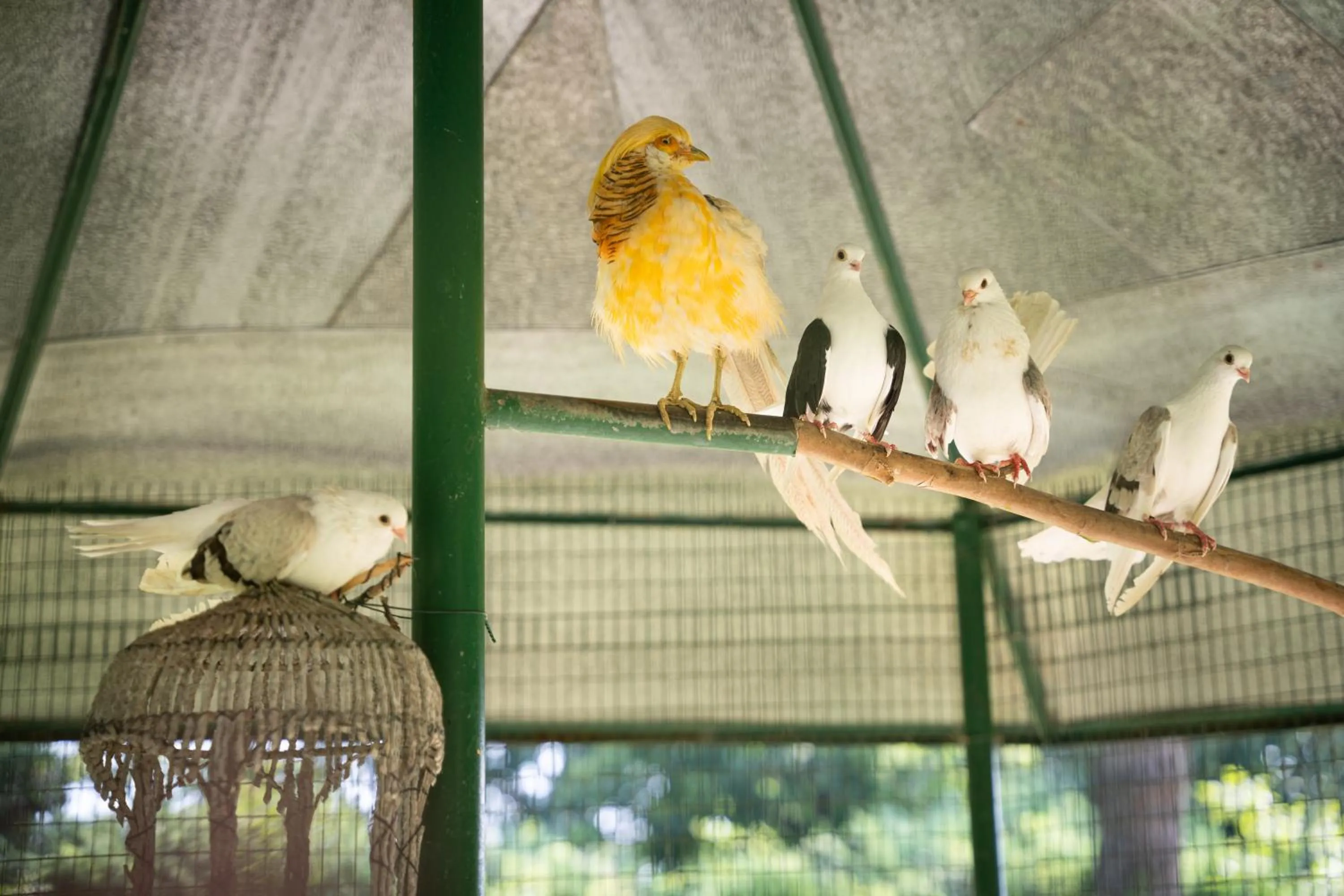 Terme Di Monte Valenza