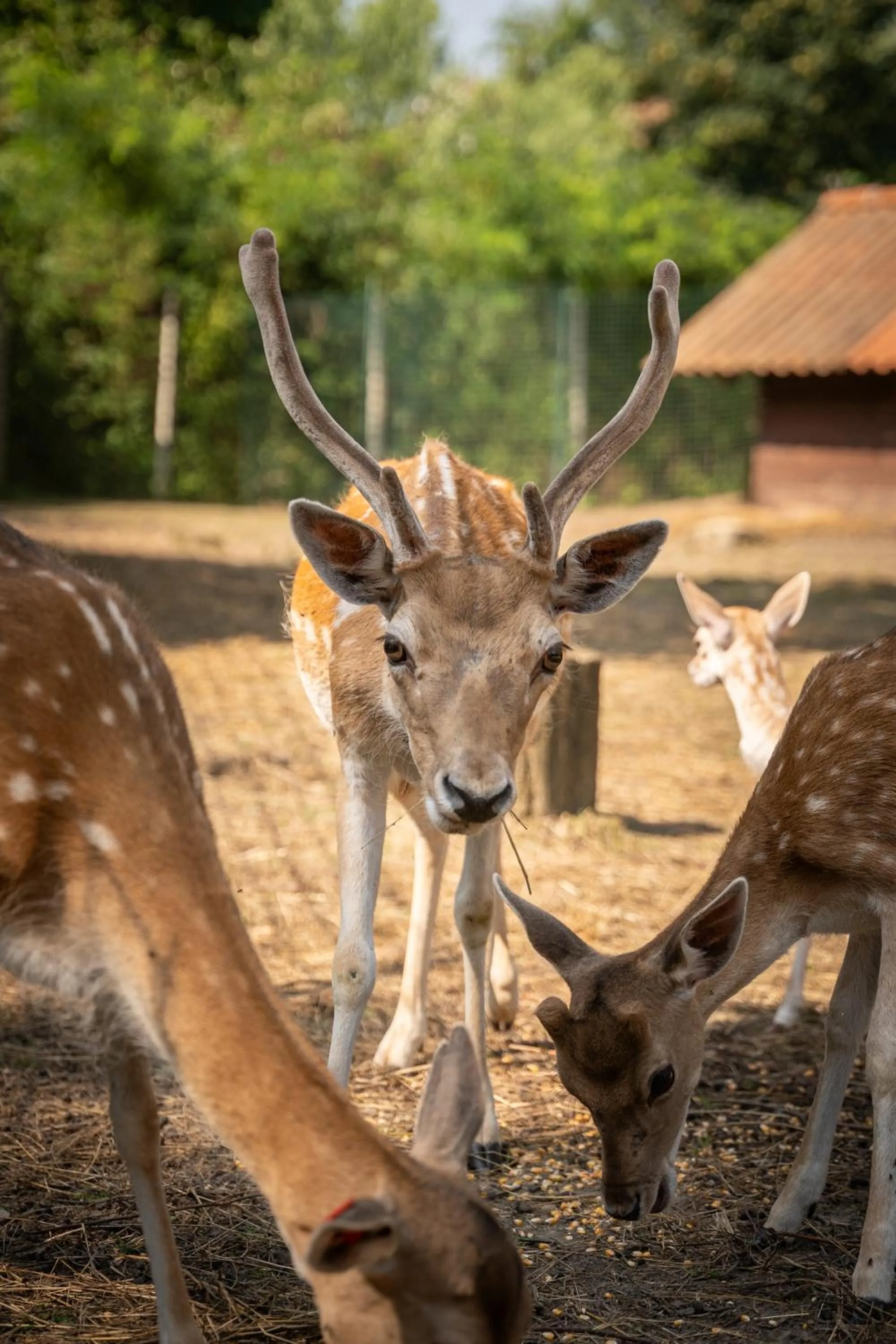 Terme Di Monte Valenza