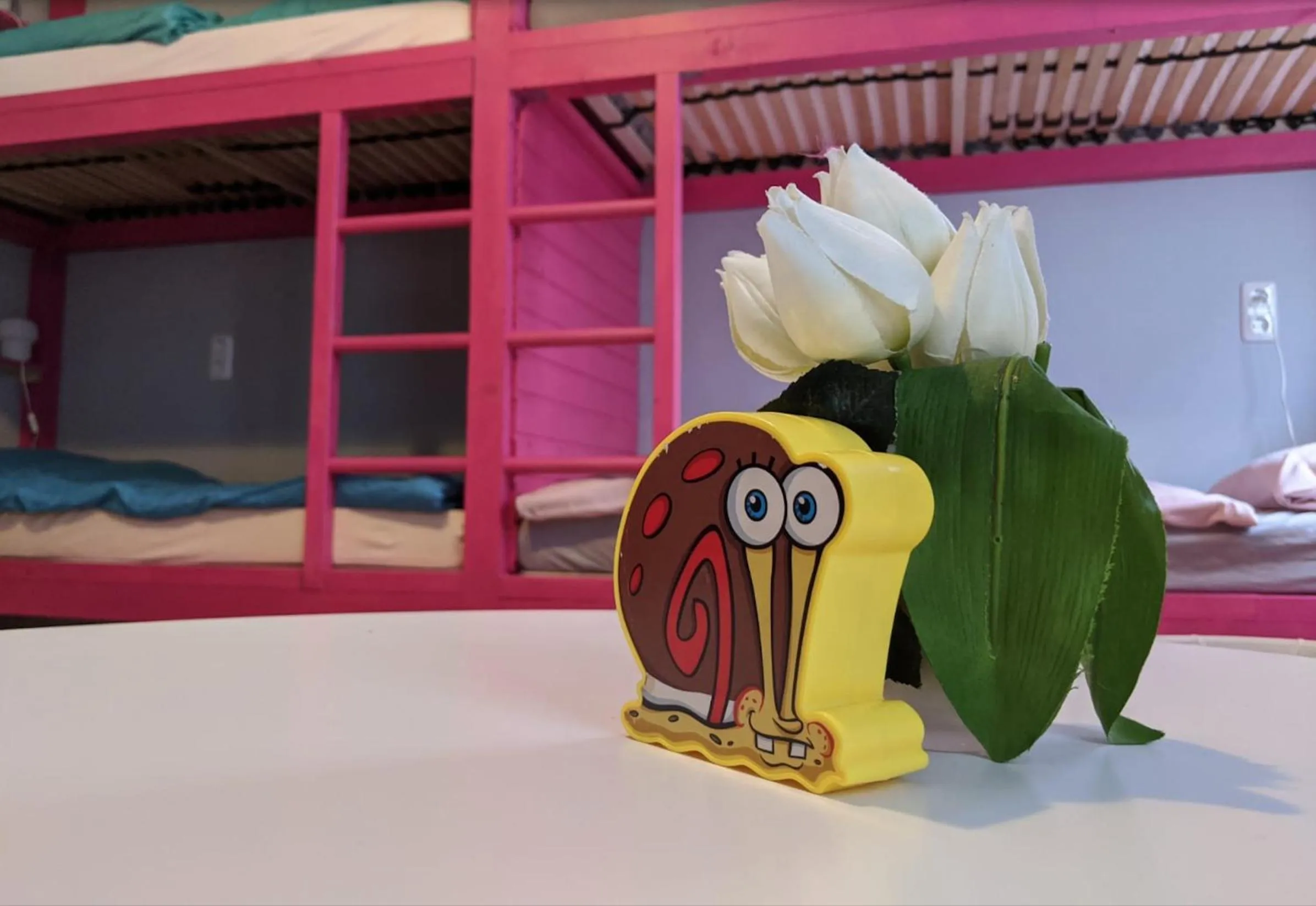 bunk bed, Bed in Ruhrtropolis Hostel