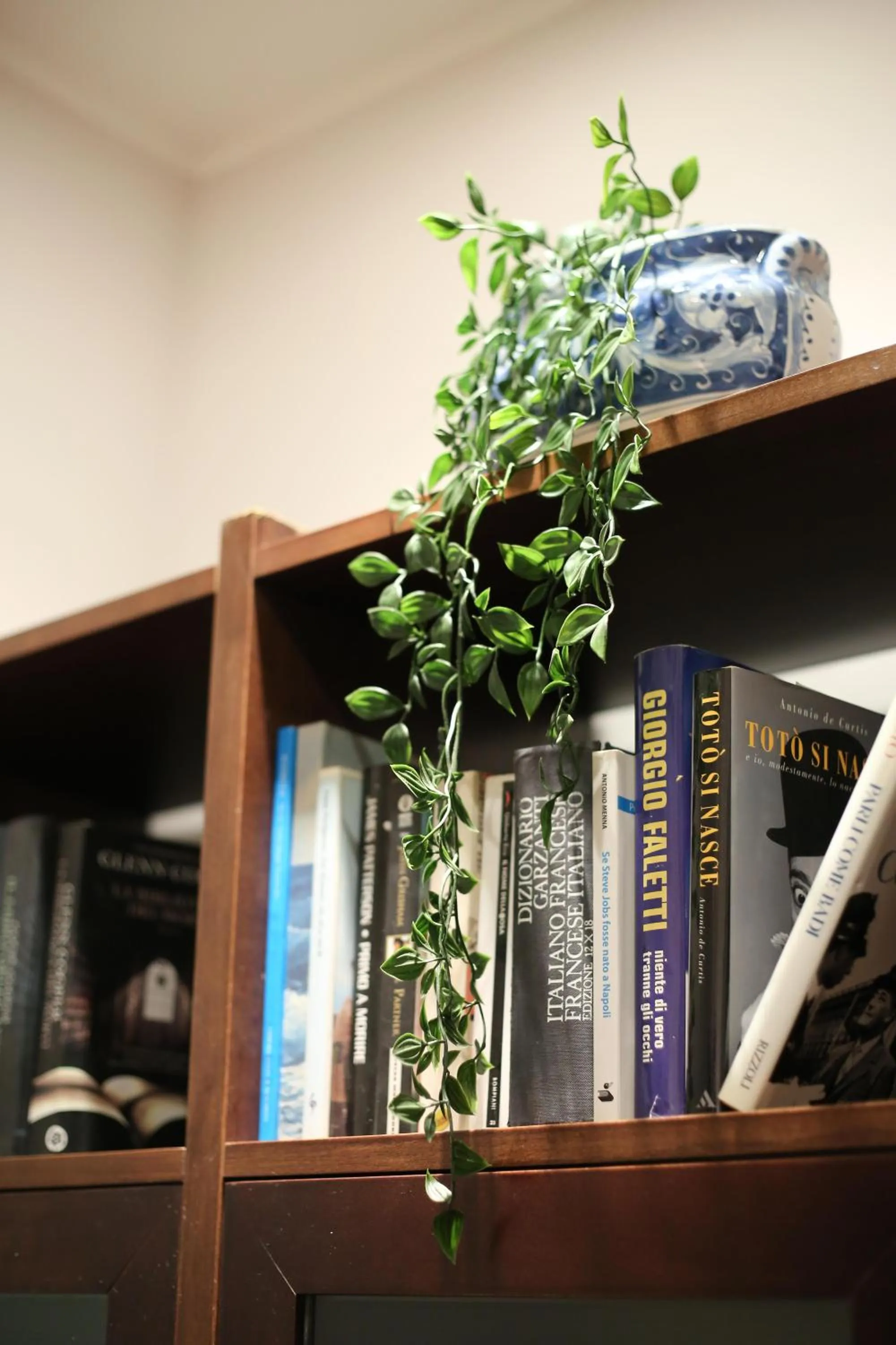 Library in B&B Residenza MALATERRA