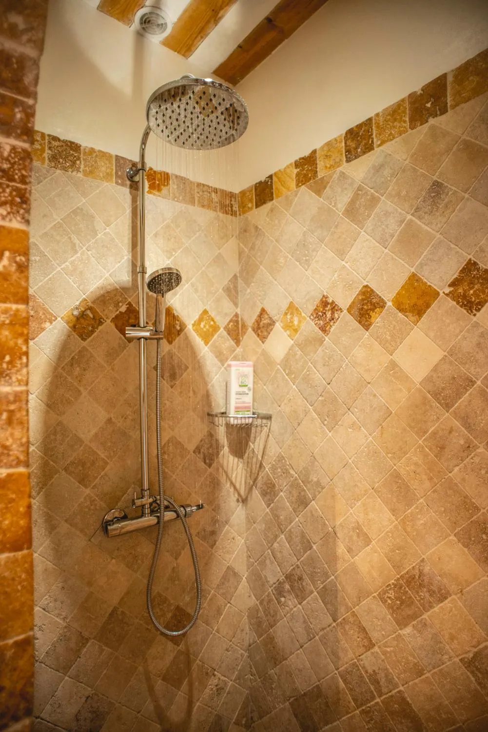 Les Manaux en Provence