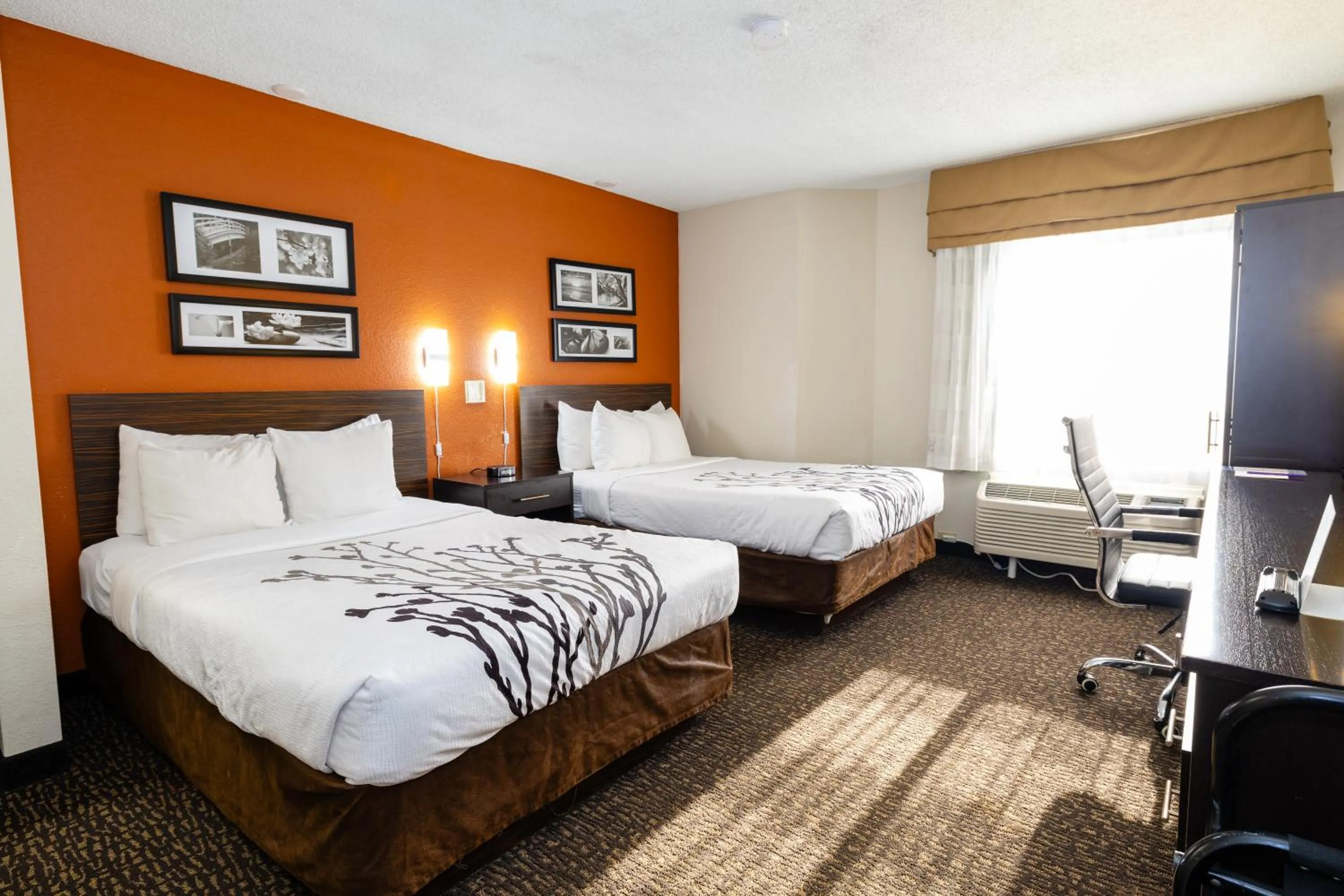 Bed in Sleep Inn Ormond Beach - Daytona