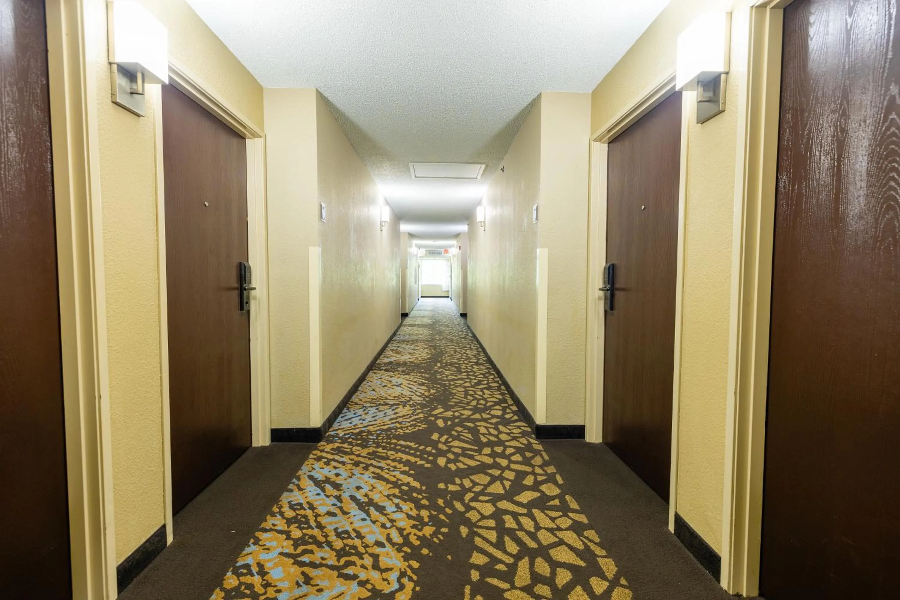 Lobby or reception in Sleep Inn Ormond Beach - Daytona