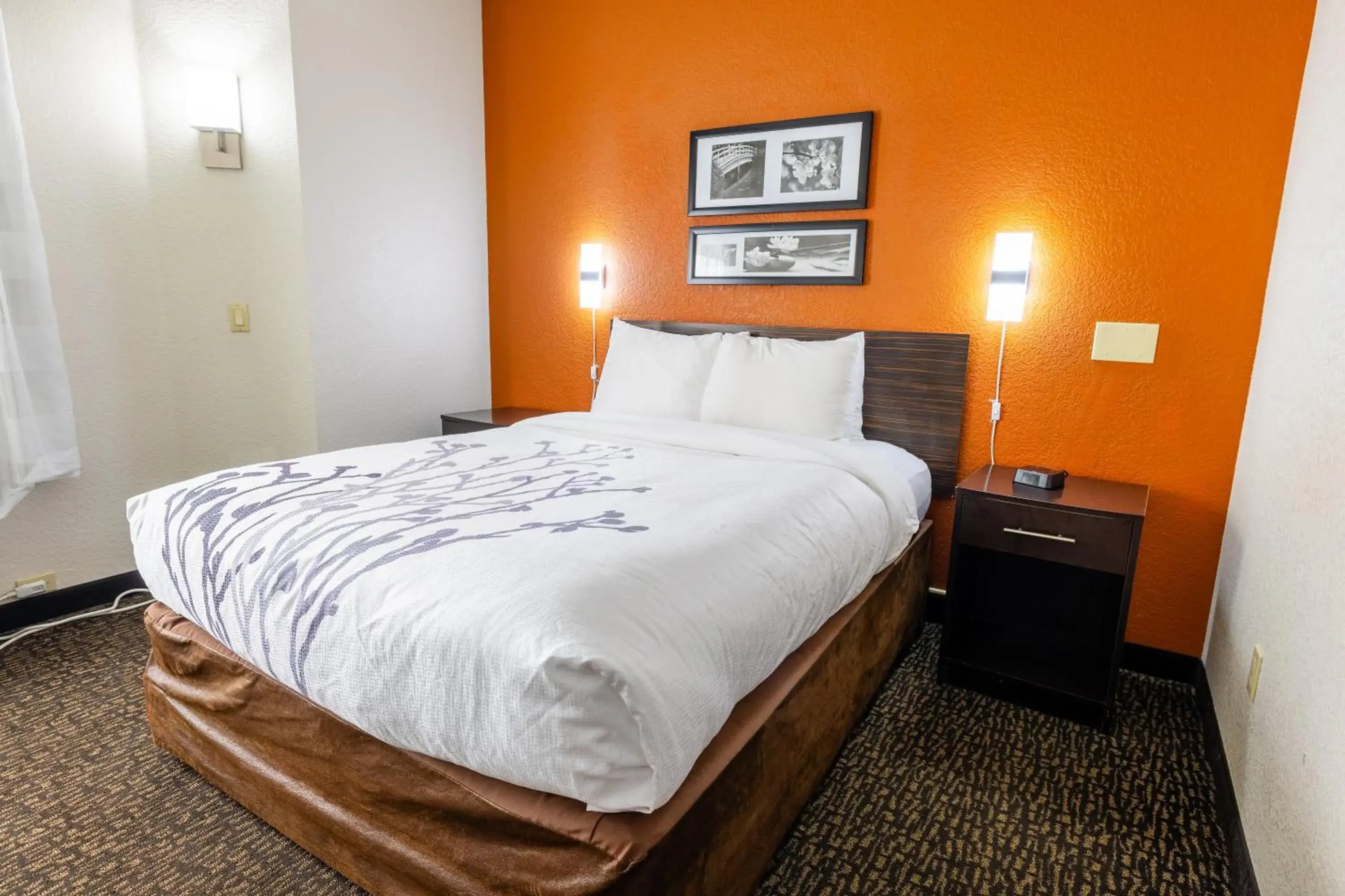 King Room - Non-Smoking in Sleep Inn Ormond Beach - Daytona King Room - Non-Smoking in Sleep Inn Ormond Beach - Daytona