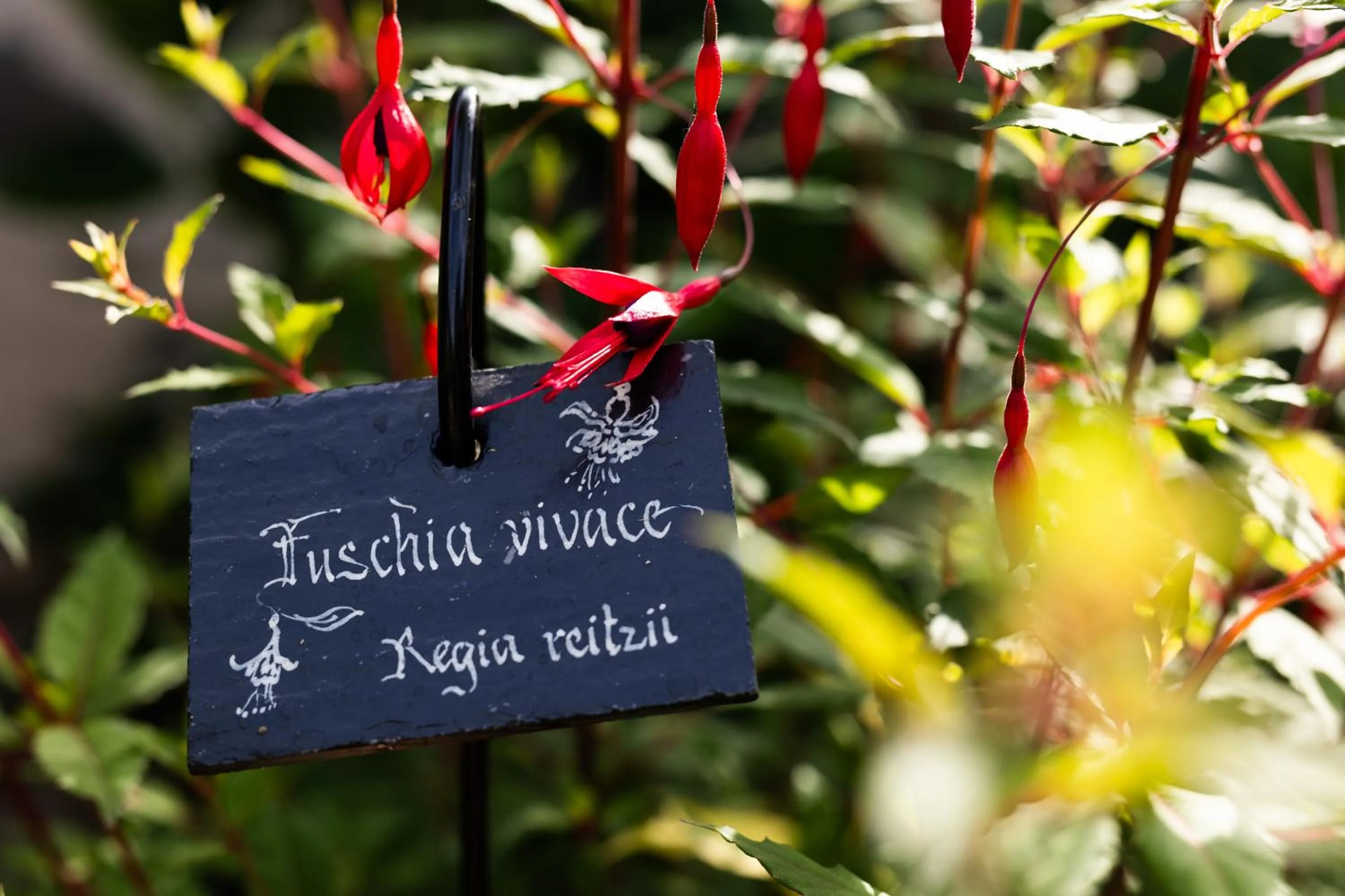 Garden in L'instant jardin