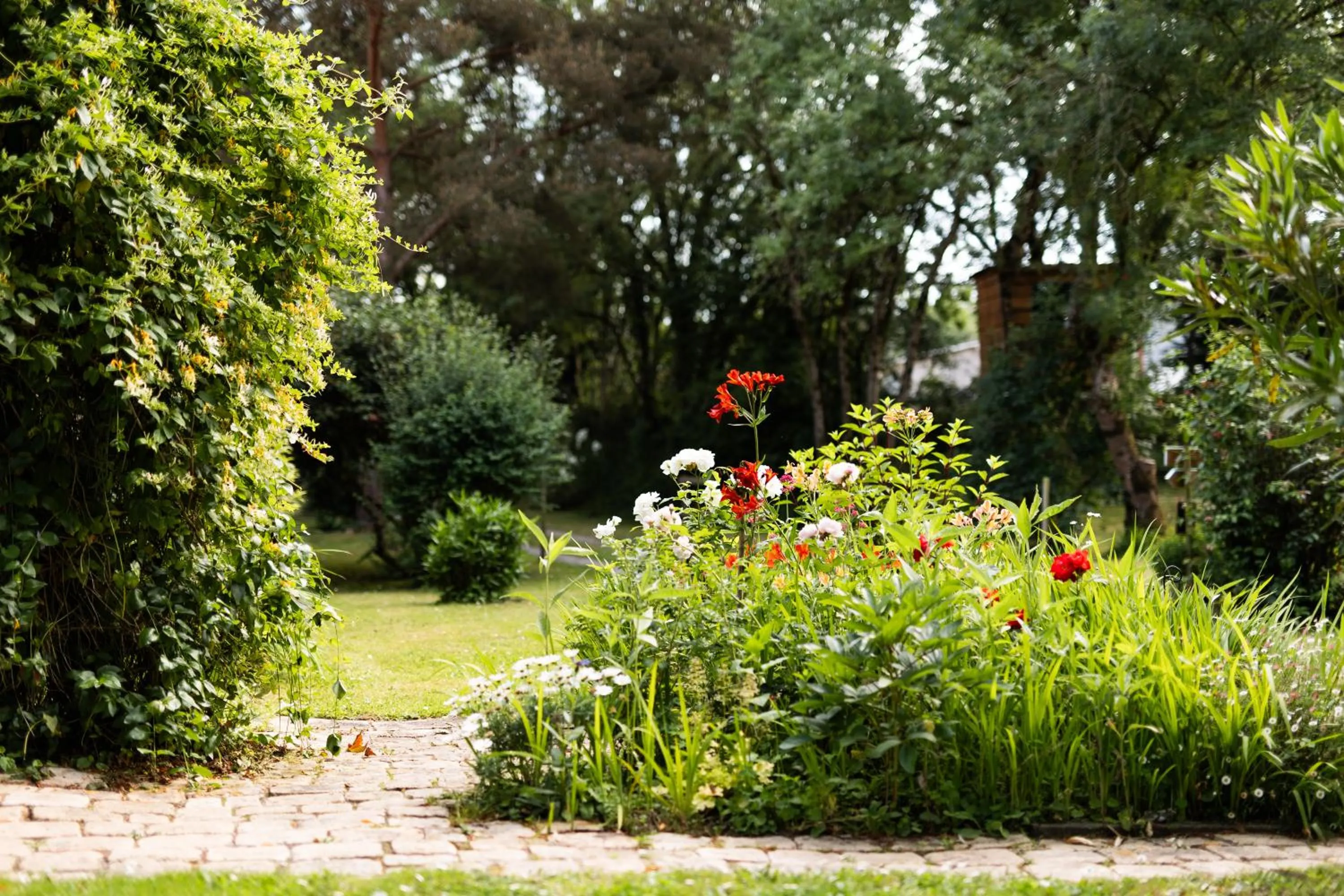 Garden in L'instant jardin