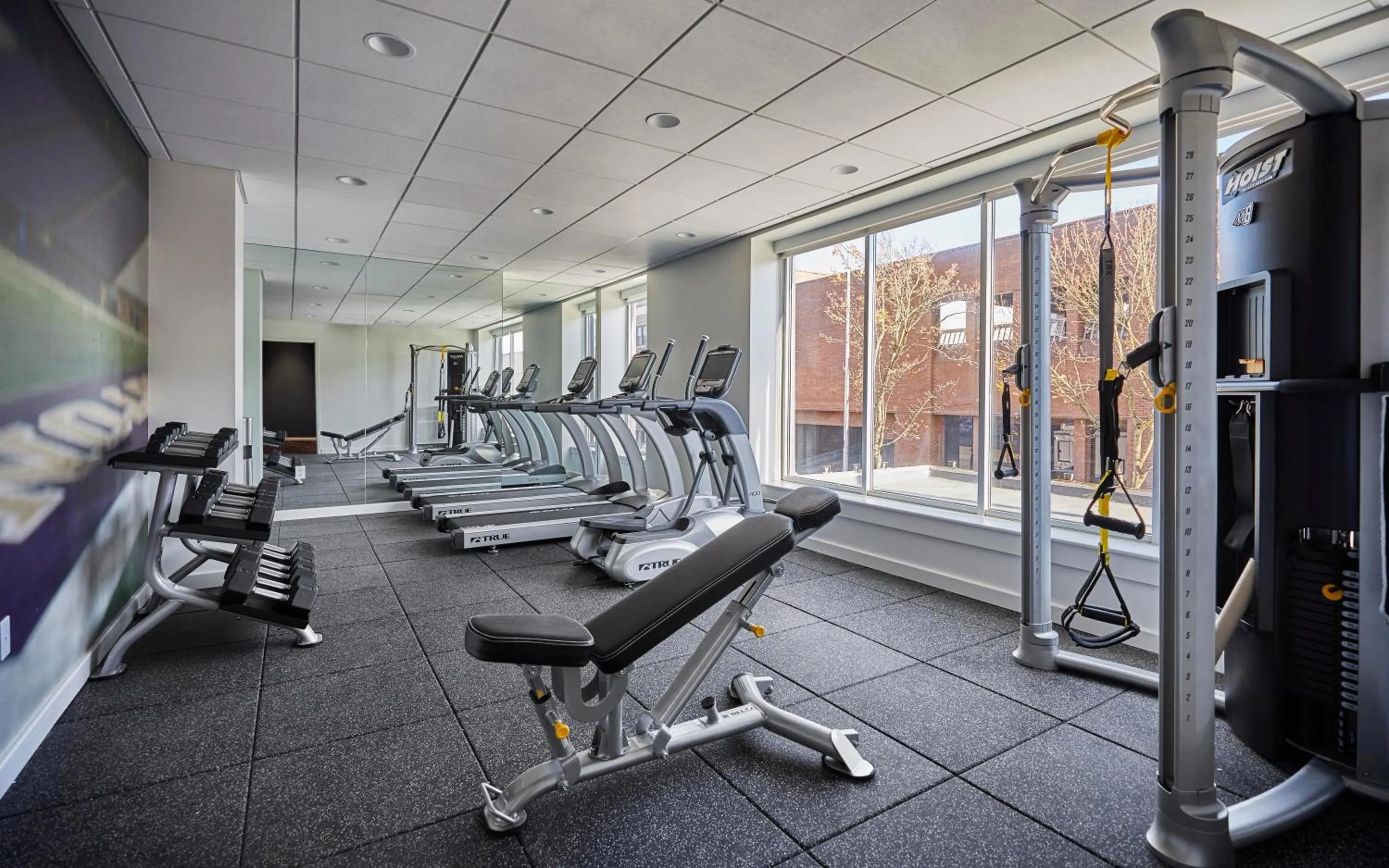 Fitness centre/facilities in Graduate Seattle