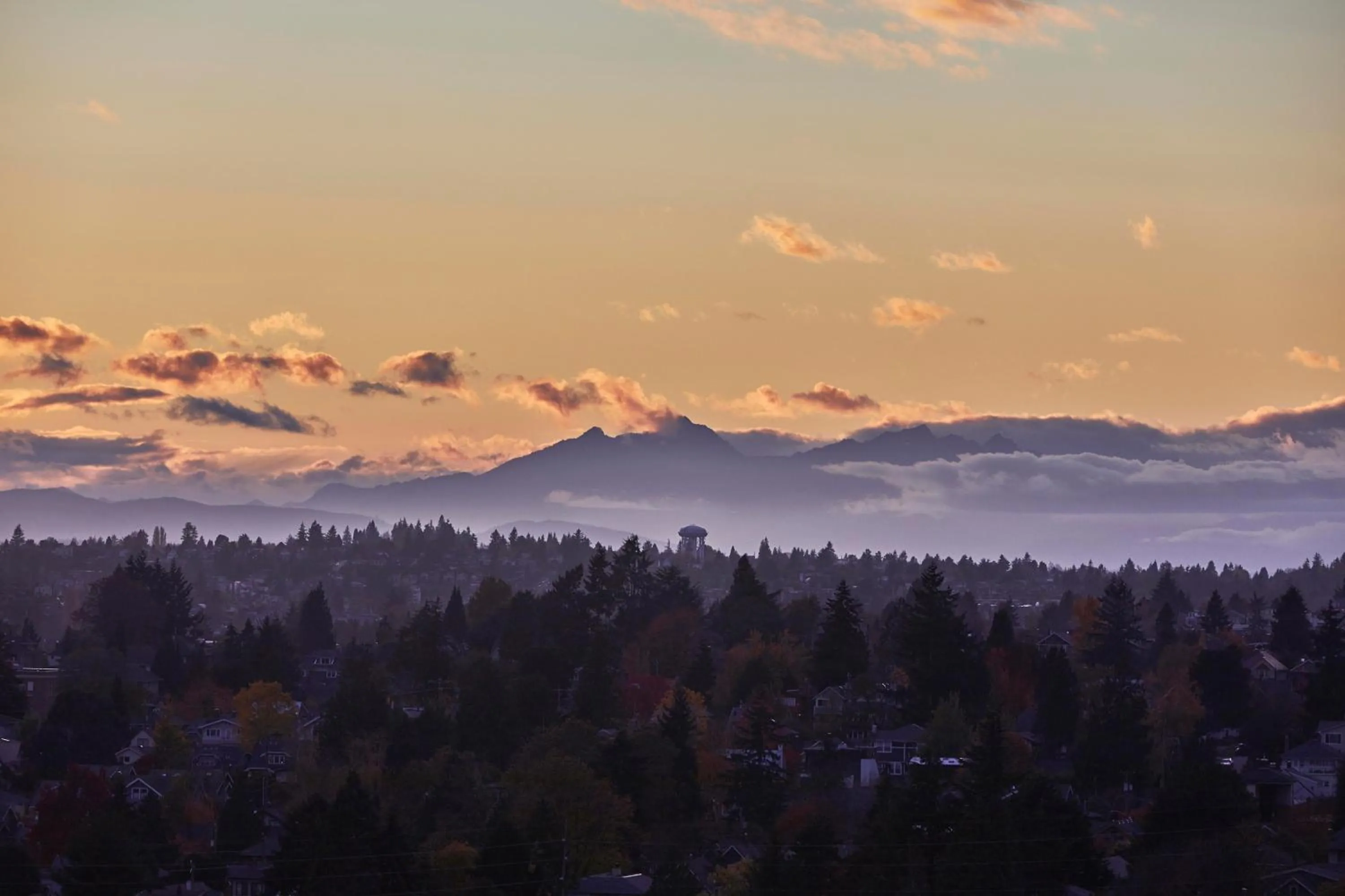 Landmark view in Graduate Seattle