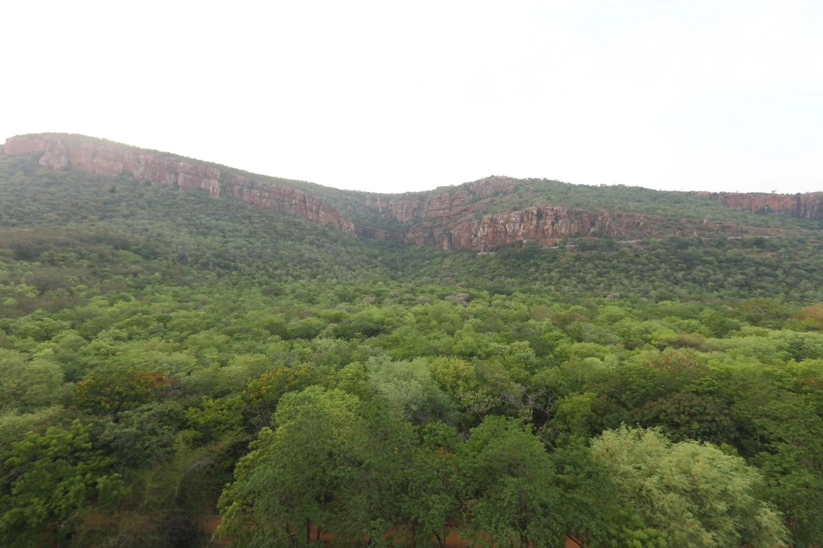 Natural landscape in Hotel Ramcharan Residency, Tirupati
