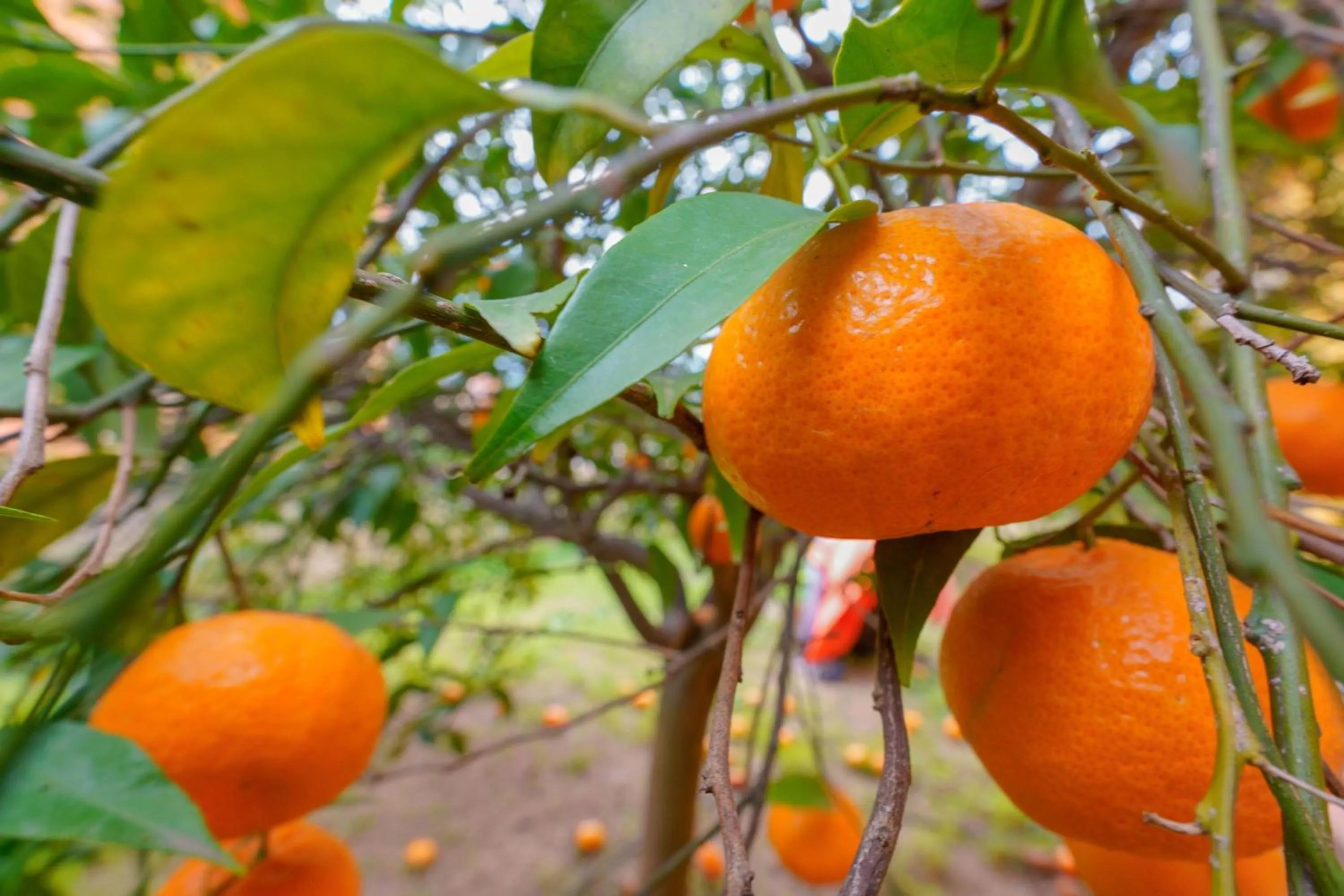 Day in B&B Gassa d'Amante