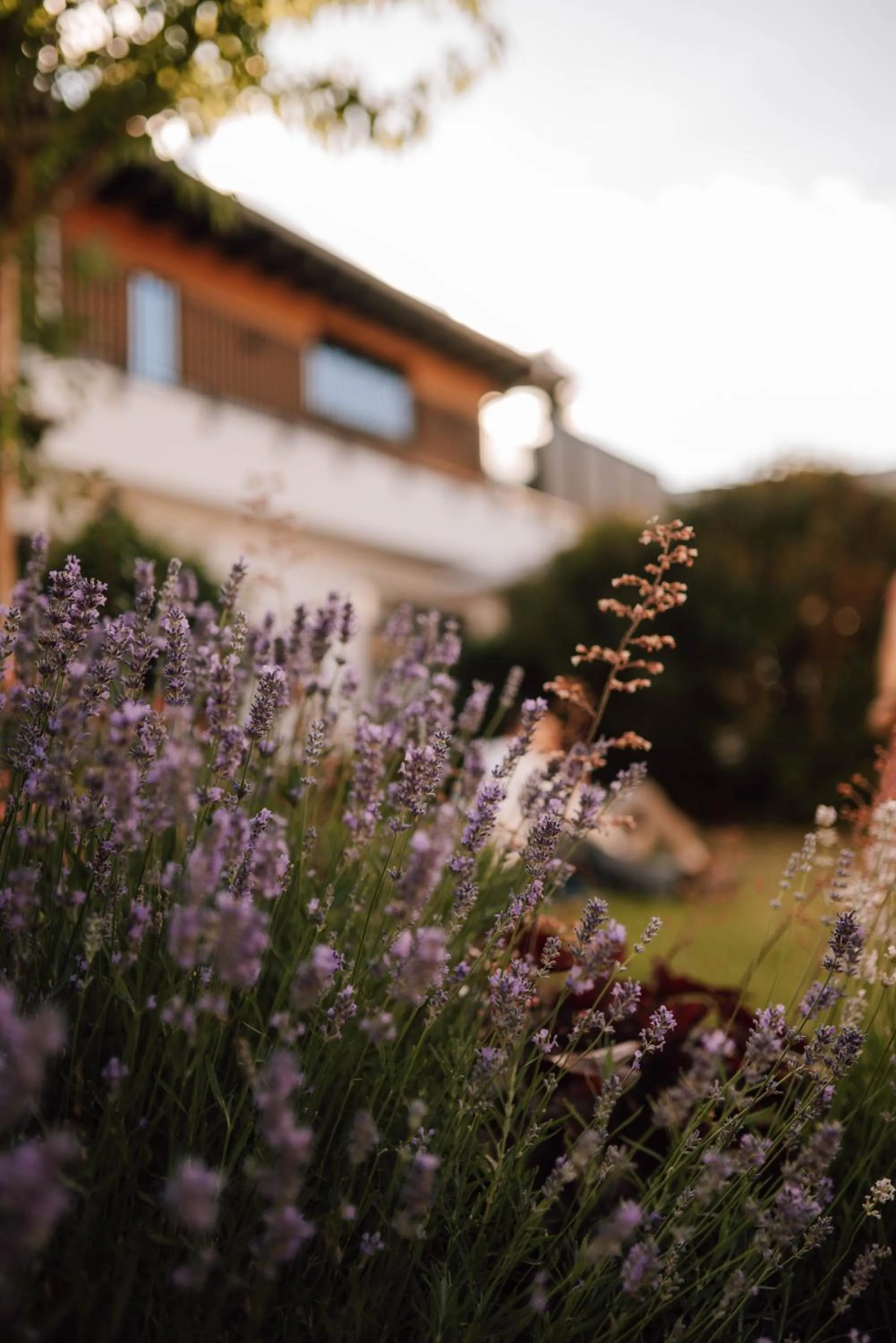 Garden in Schmidtburger Hof