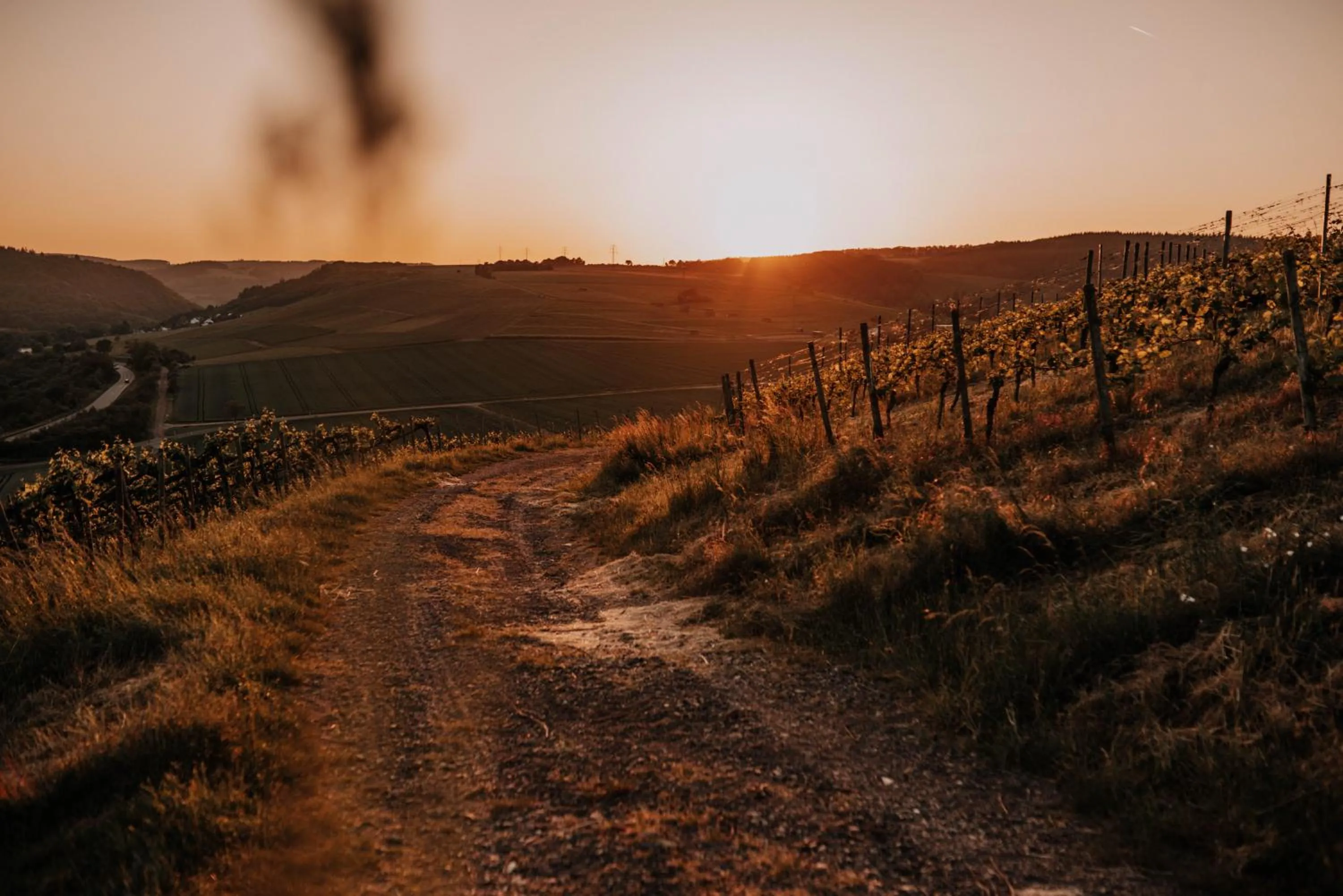 Natural landscape in Schmidtburger Hof