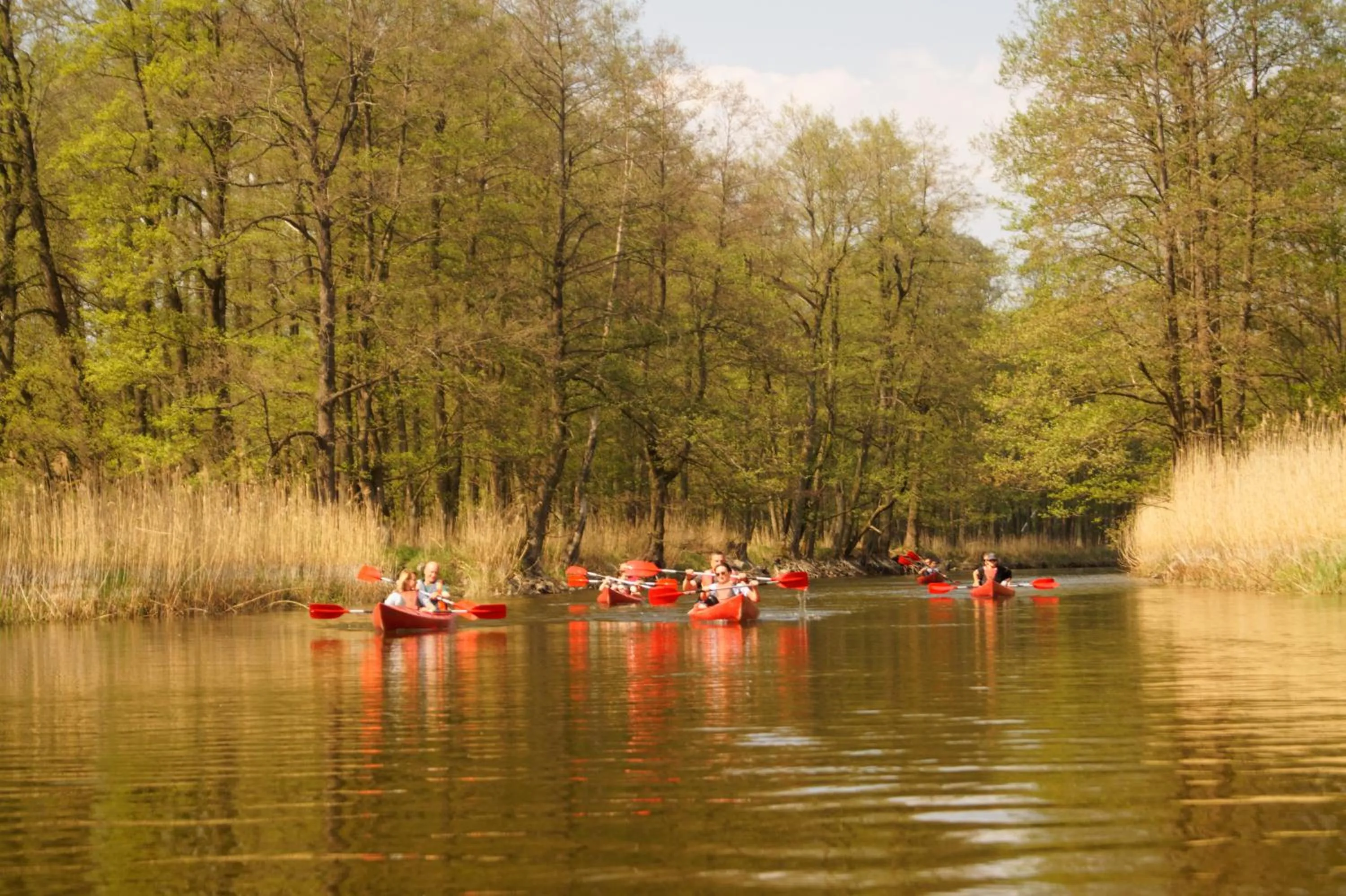 Canoeing in Domy na Wodzie na Mazurach