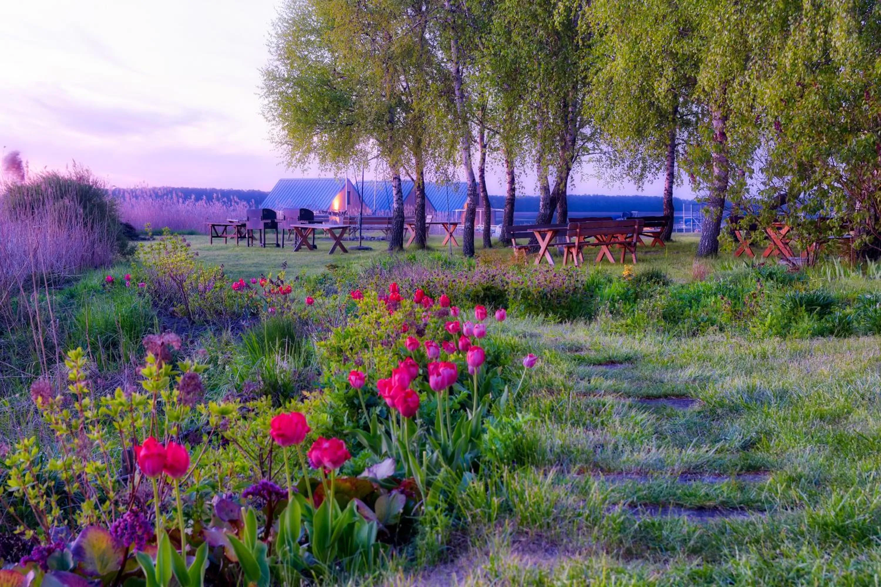 Garden in Domy na Wodzie na Mazurach