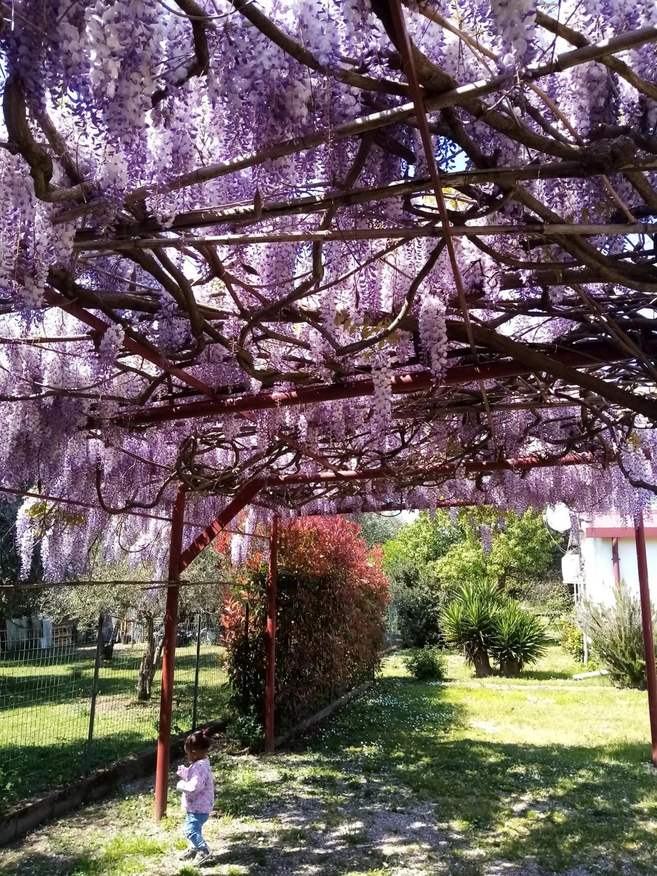 Garden in La Casa Gialla A MONTIGNOSO