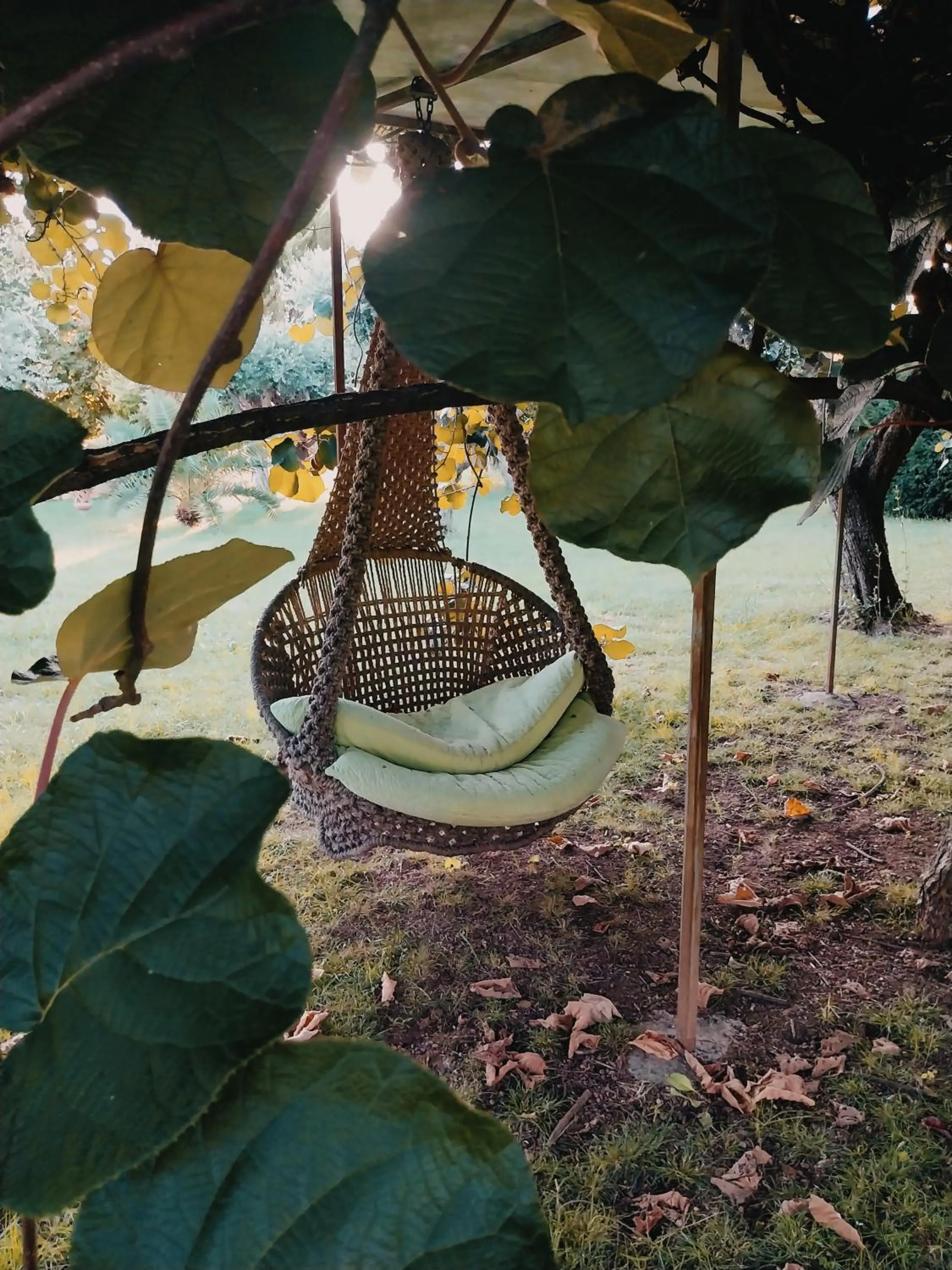 Garden in La Casa Gialla A MONTIGNOSO