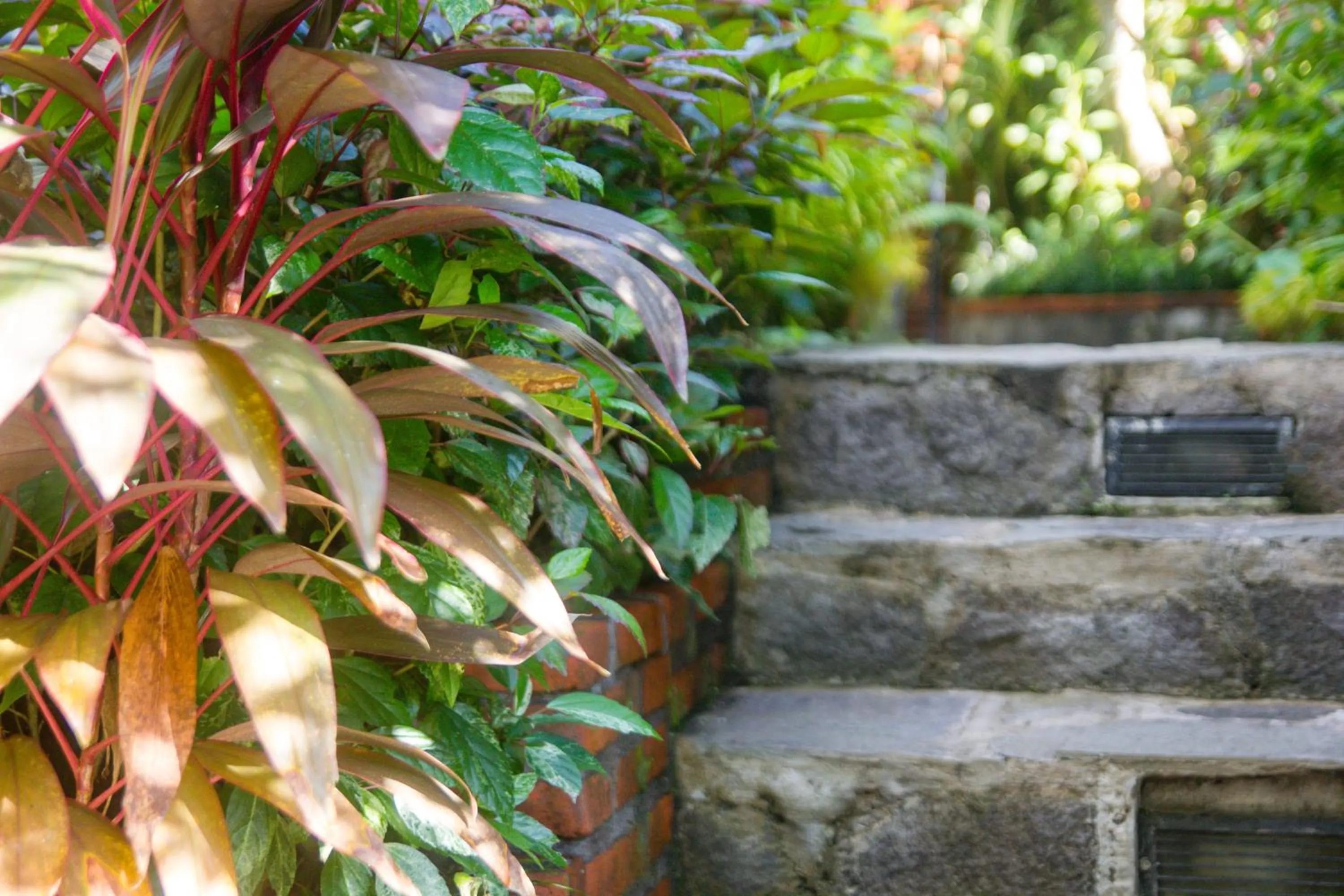 Area and facilities in Parvati Retreat Villas