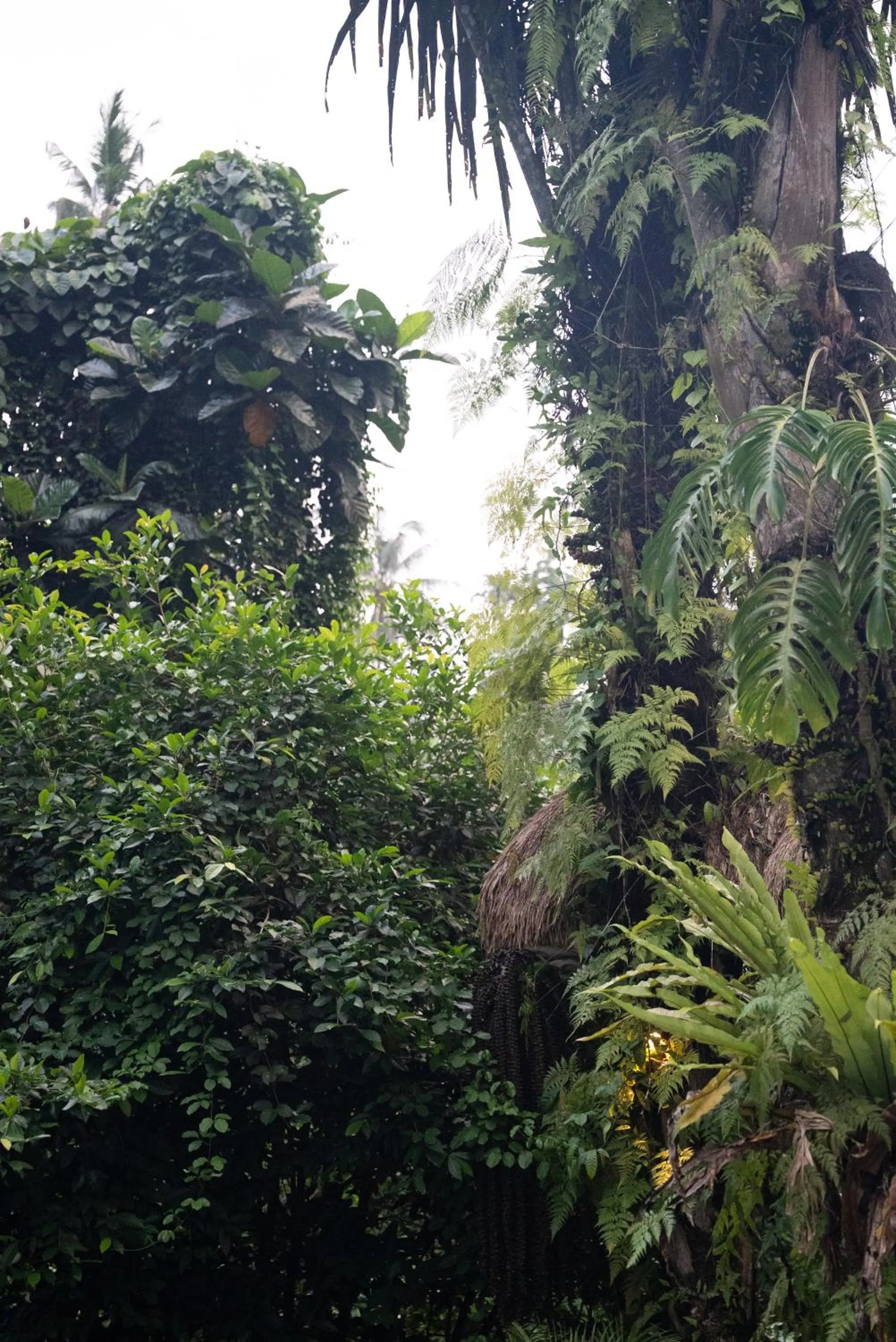 View (from property/room) in Parvati Retreat Villas