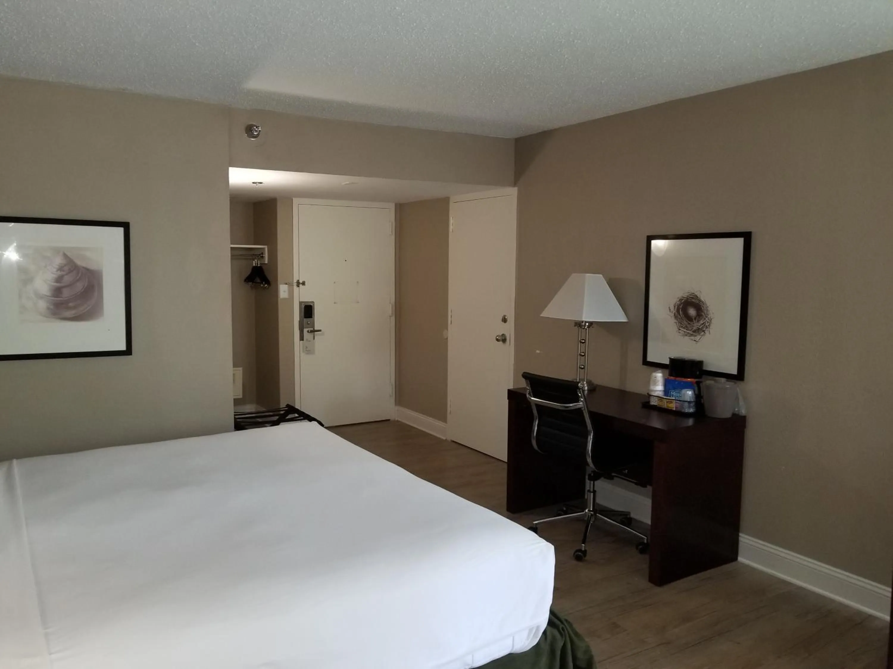 Photo of the whole room in Stayable Select Gainesville