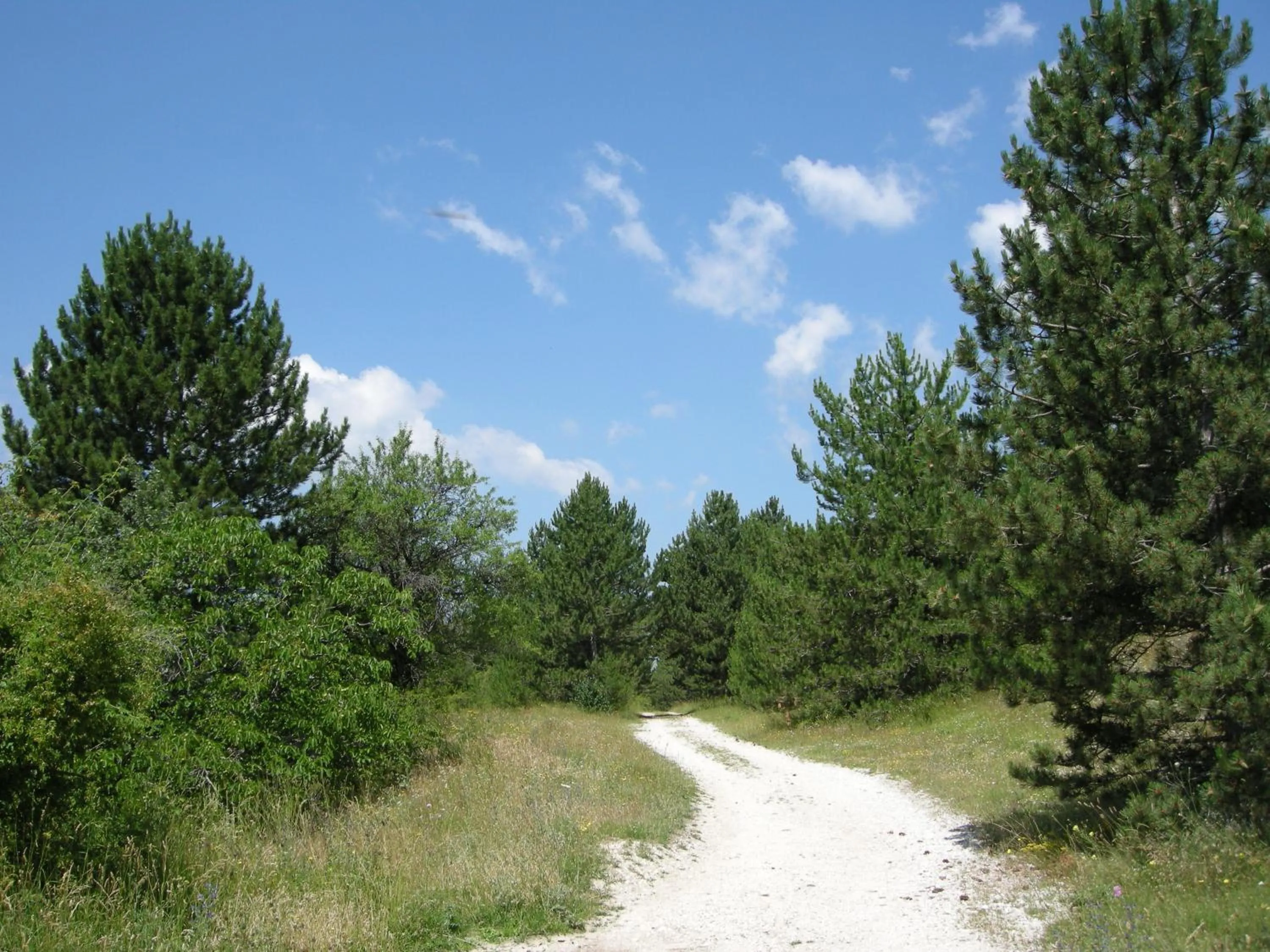 View (from property/room) in Hotel Fiordigigli