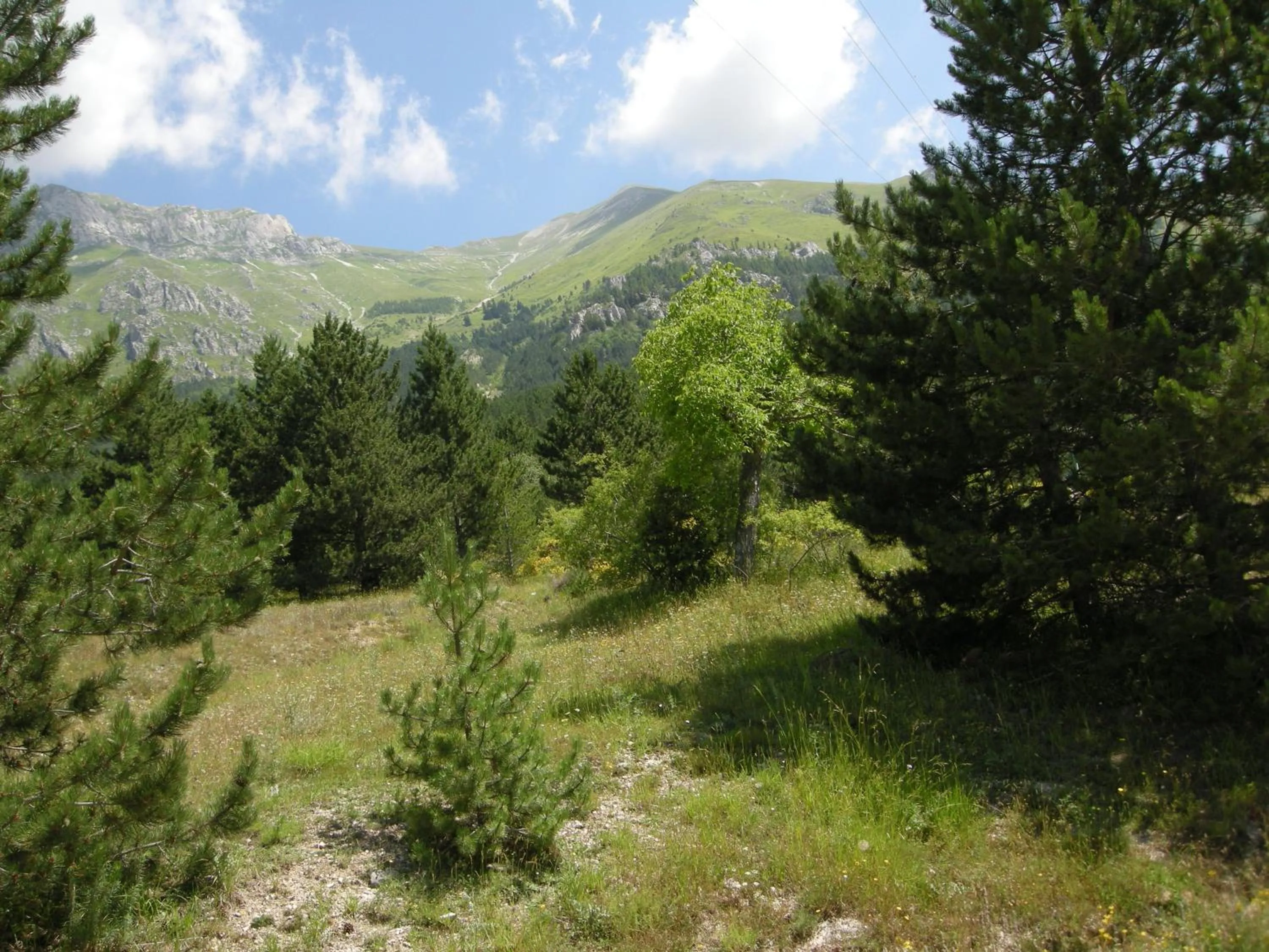 Area and facilities in Hotel Fiordigigli