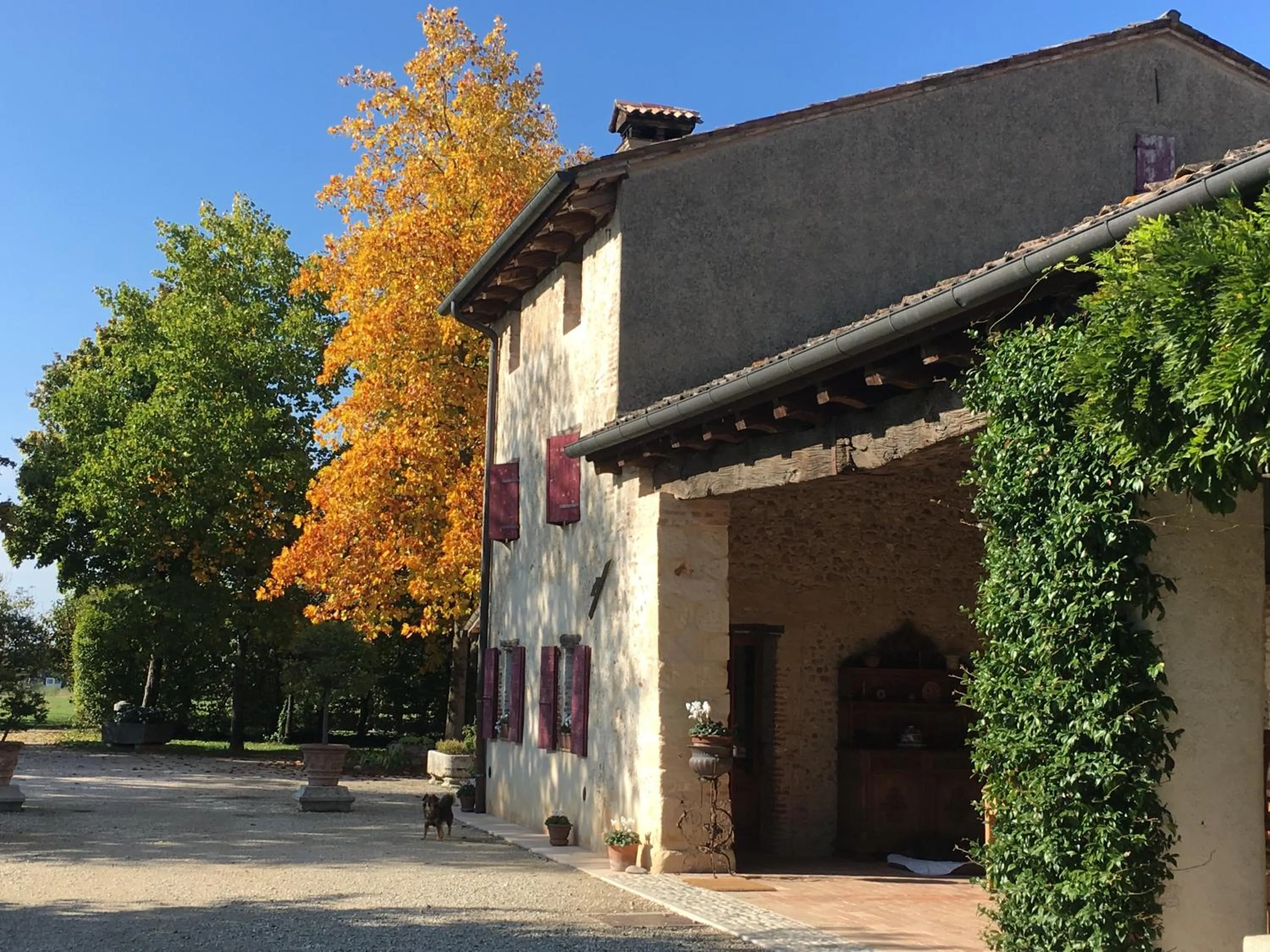 Garden view in B&B Ca' Cinel Asolo
