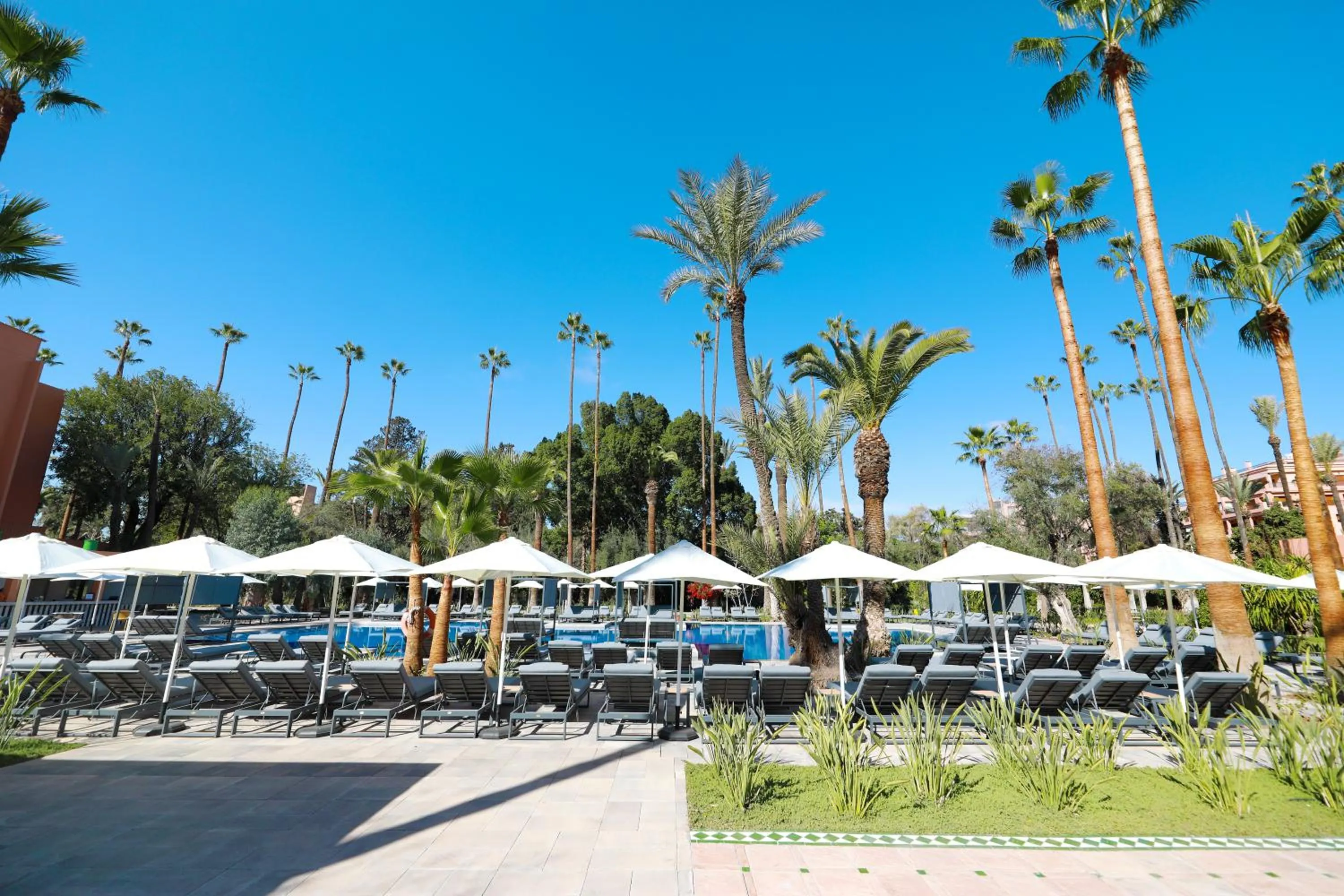 Swimming pool in Kenzi Rose Garden