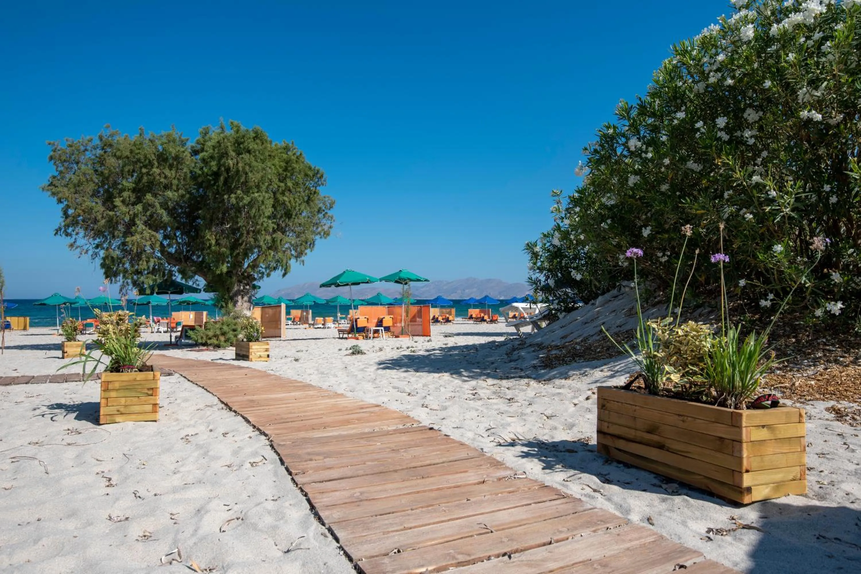 Beach in Cirillo Family Hotel-Christinas Studios