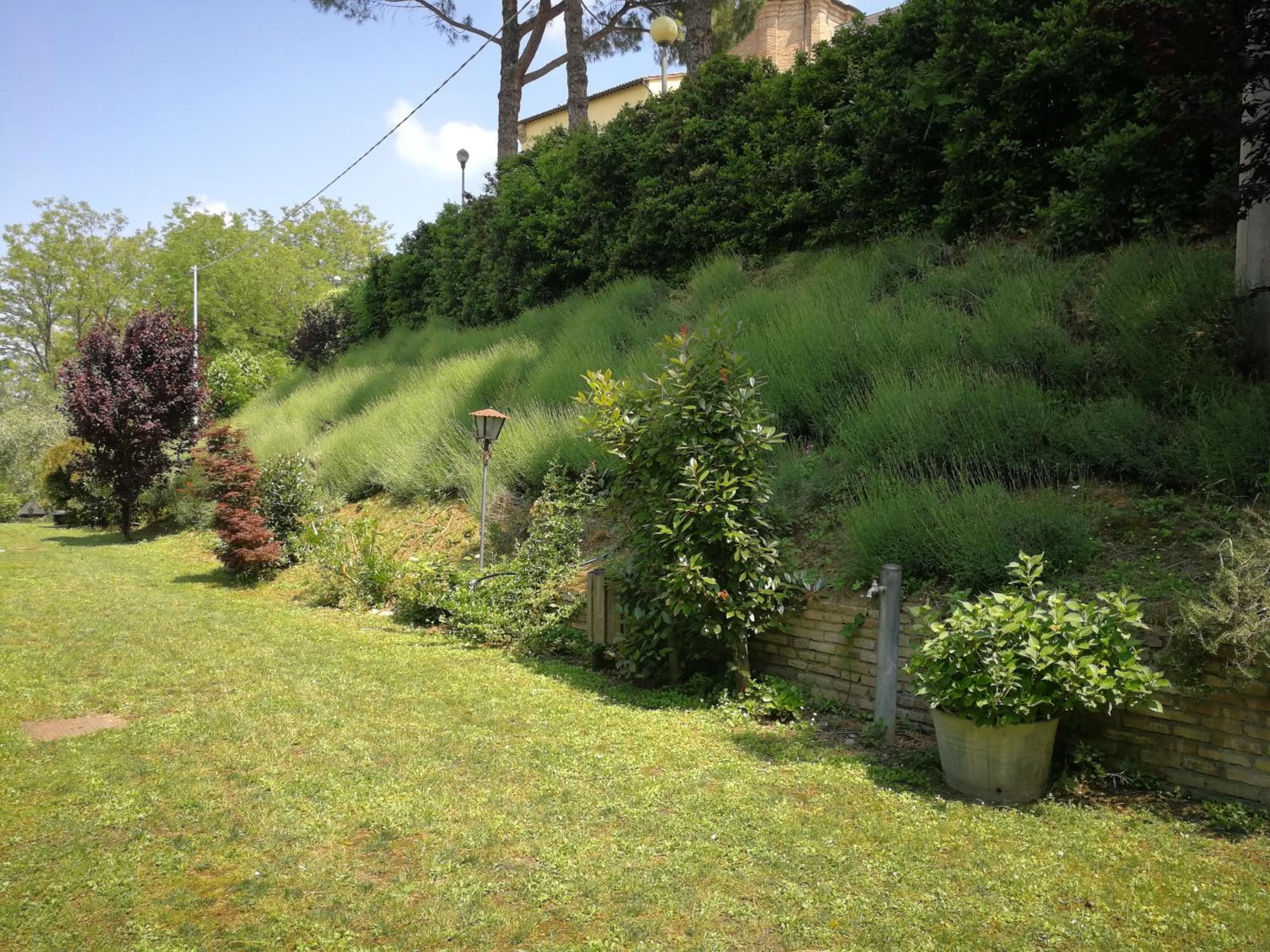 Garden in Alloggio Al San Girolamo