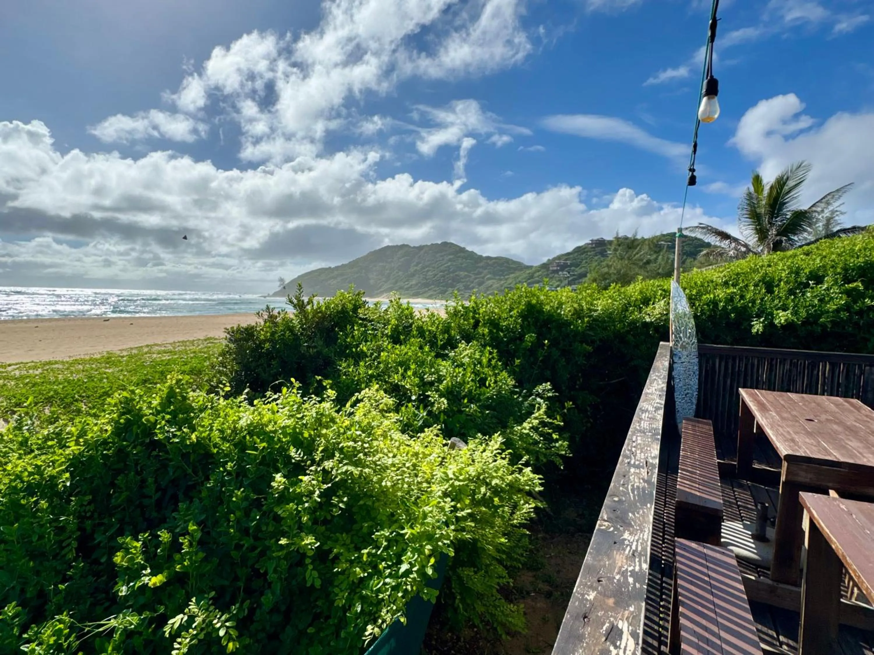 Garden in Underwater Explorer