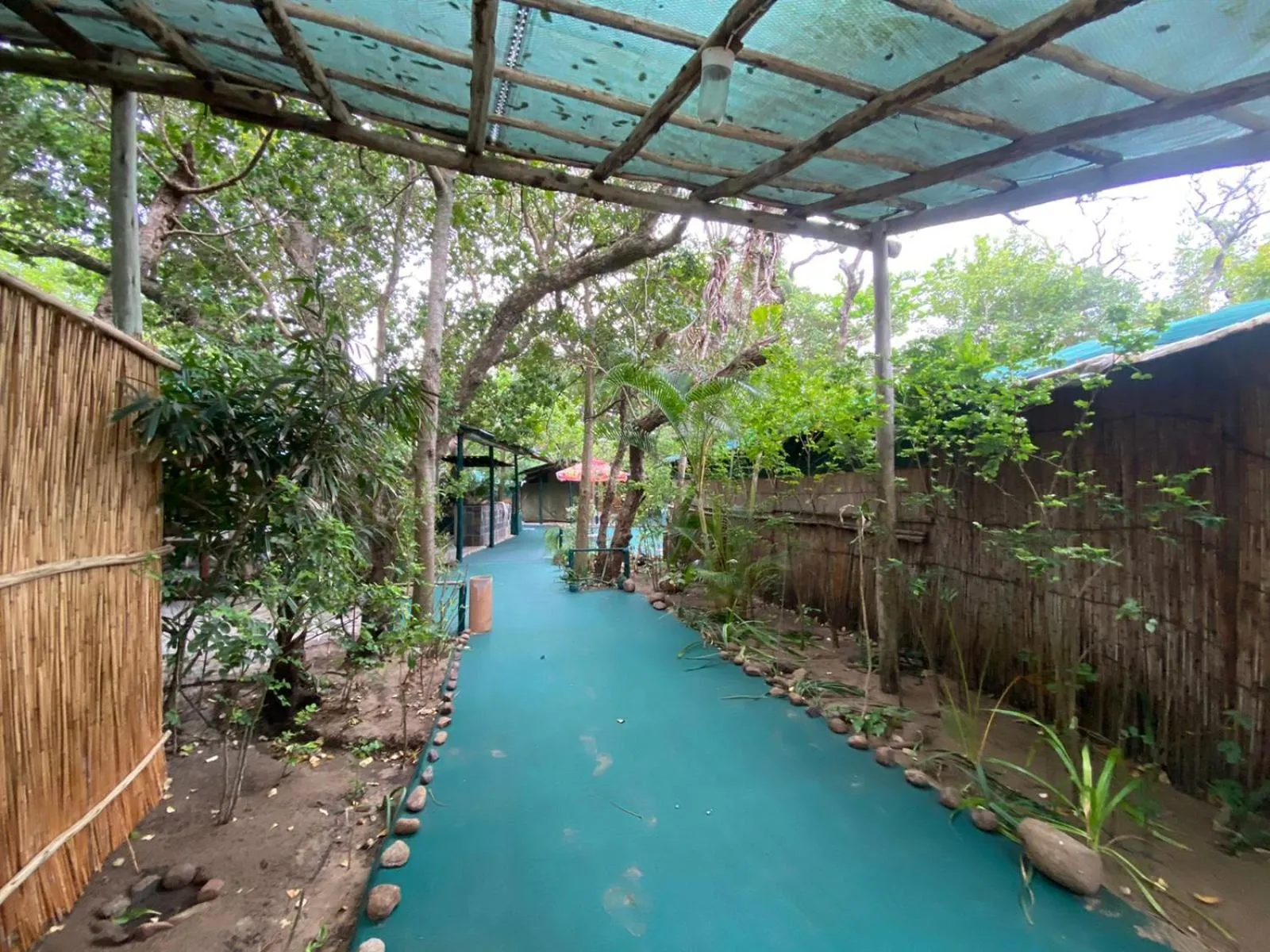 Garden in Underwater Explorer