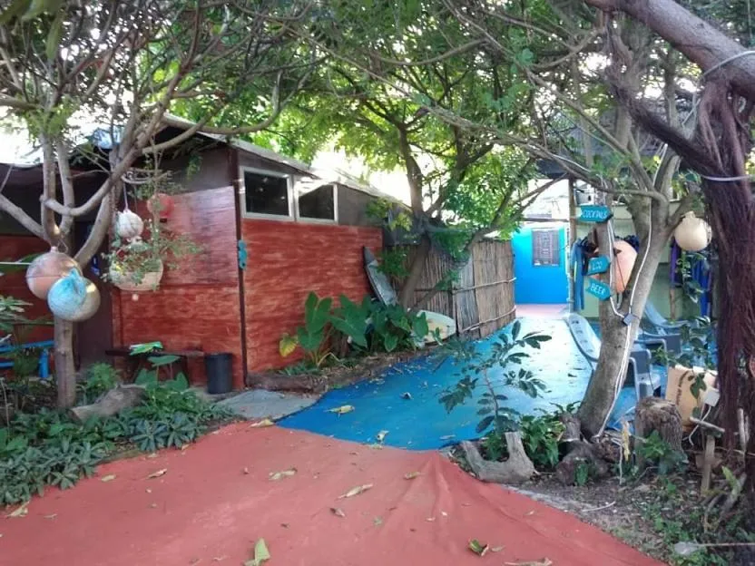 Garden in Underwater Explorer