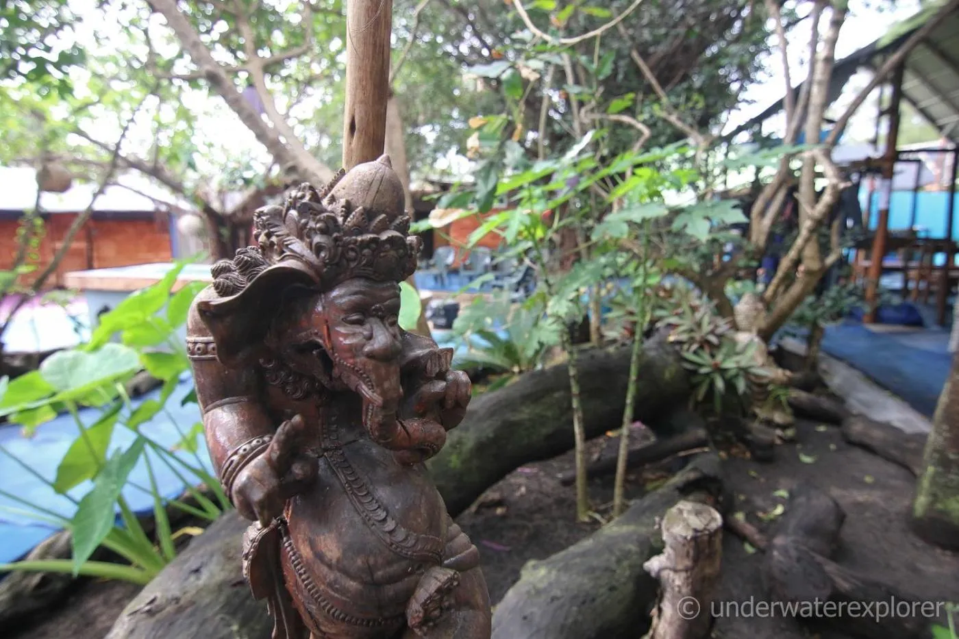 Garden in Underwater Explorer