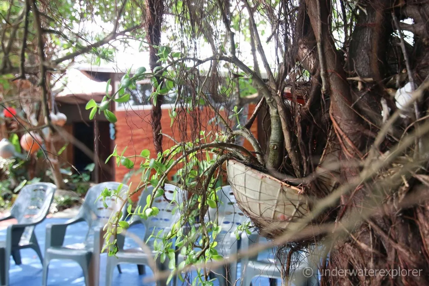 Decorative detail in Underwater Explorer