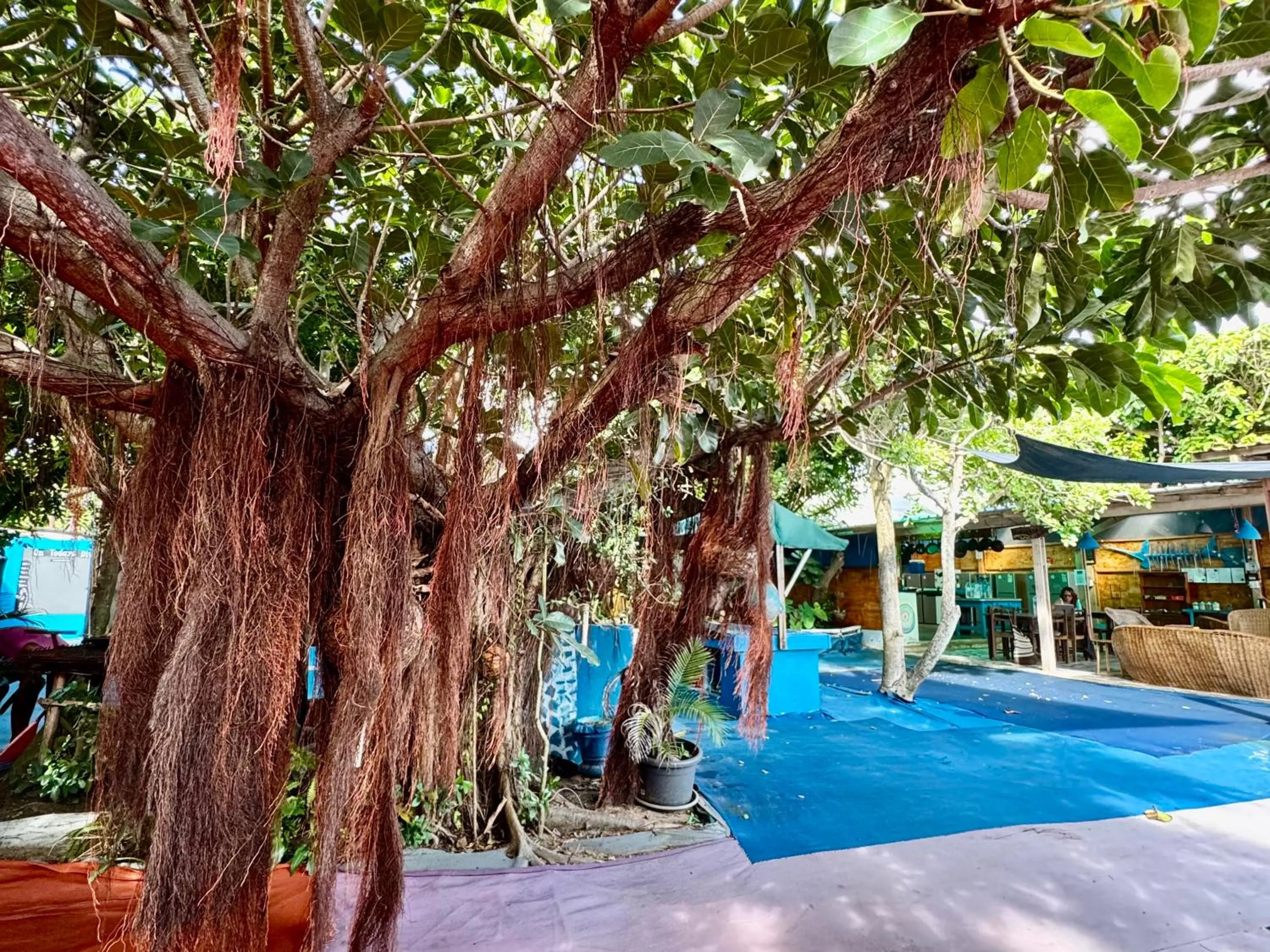 Inner courtyard view in Underwater Explorer