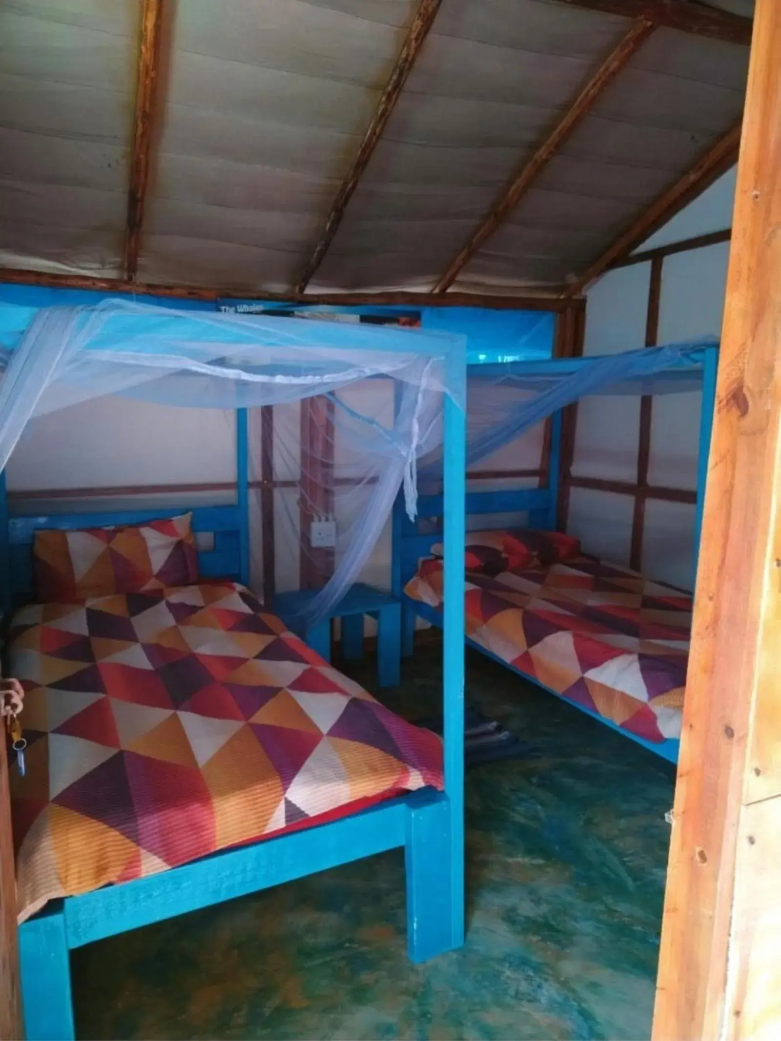 Twin Room in Underwater Explorer Twin Room in Underwater Explorer