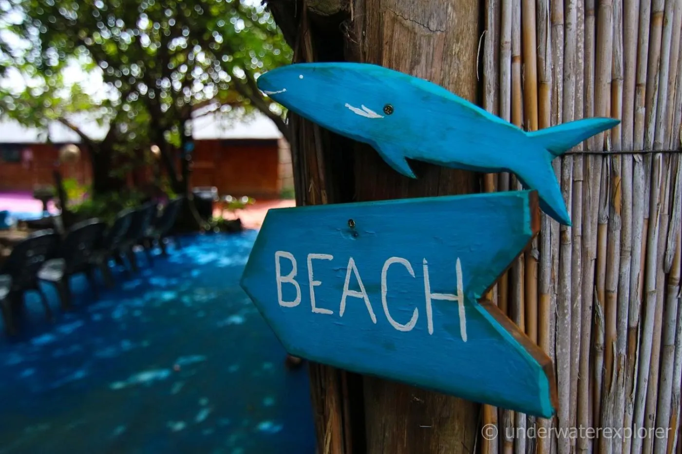 Logo/Certificate/Sign in Underwater Explorer