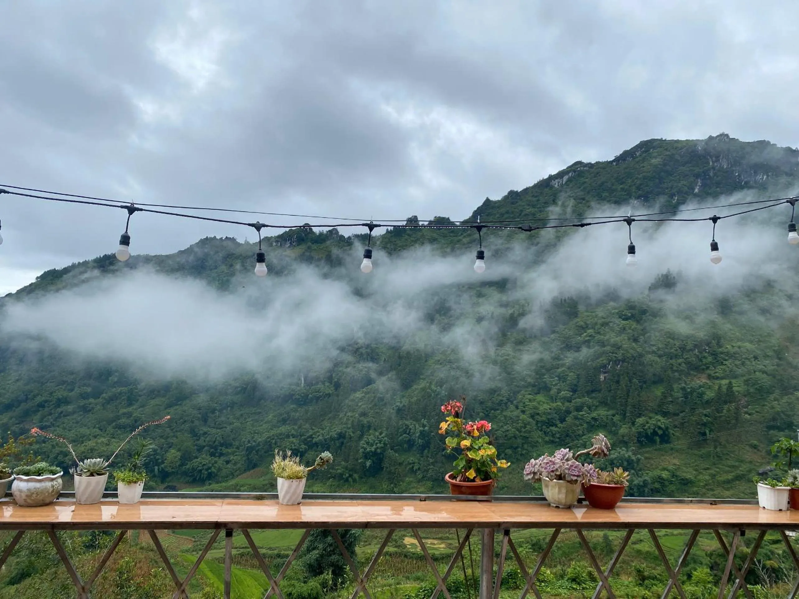 Natural landscape in The Link farmstay