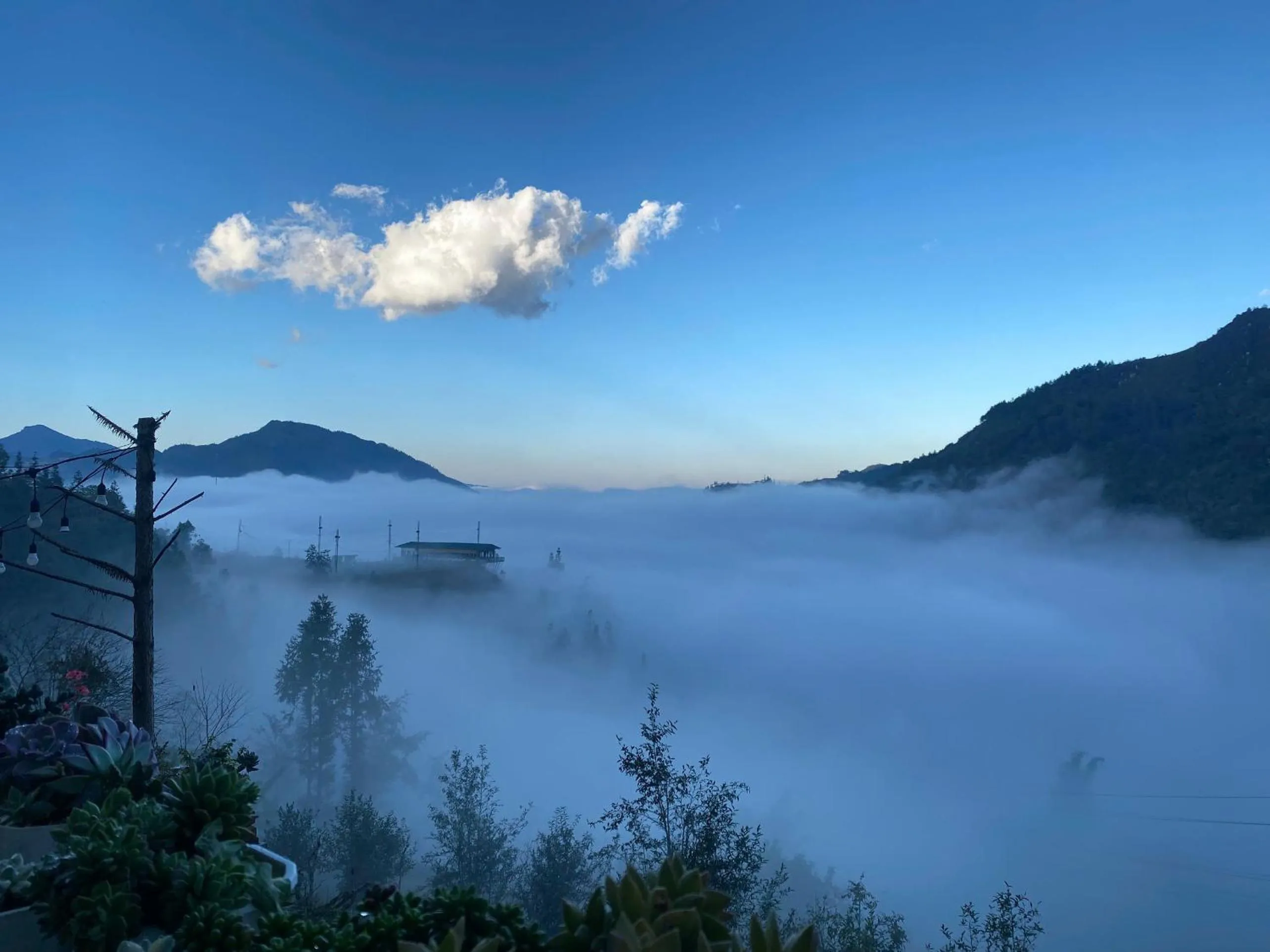 Natural landscape in The Link farmstay