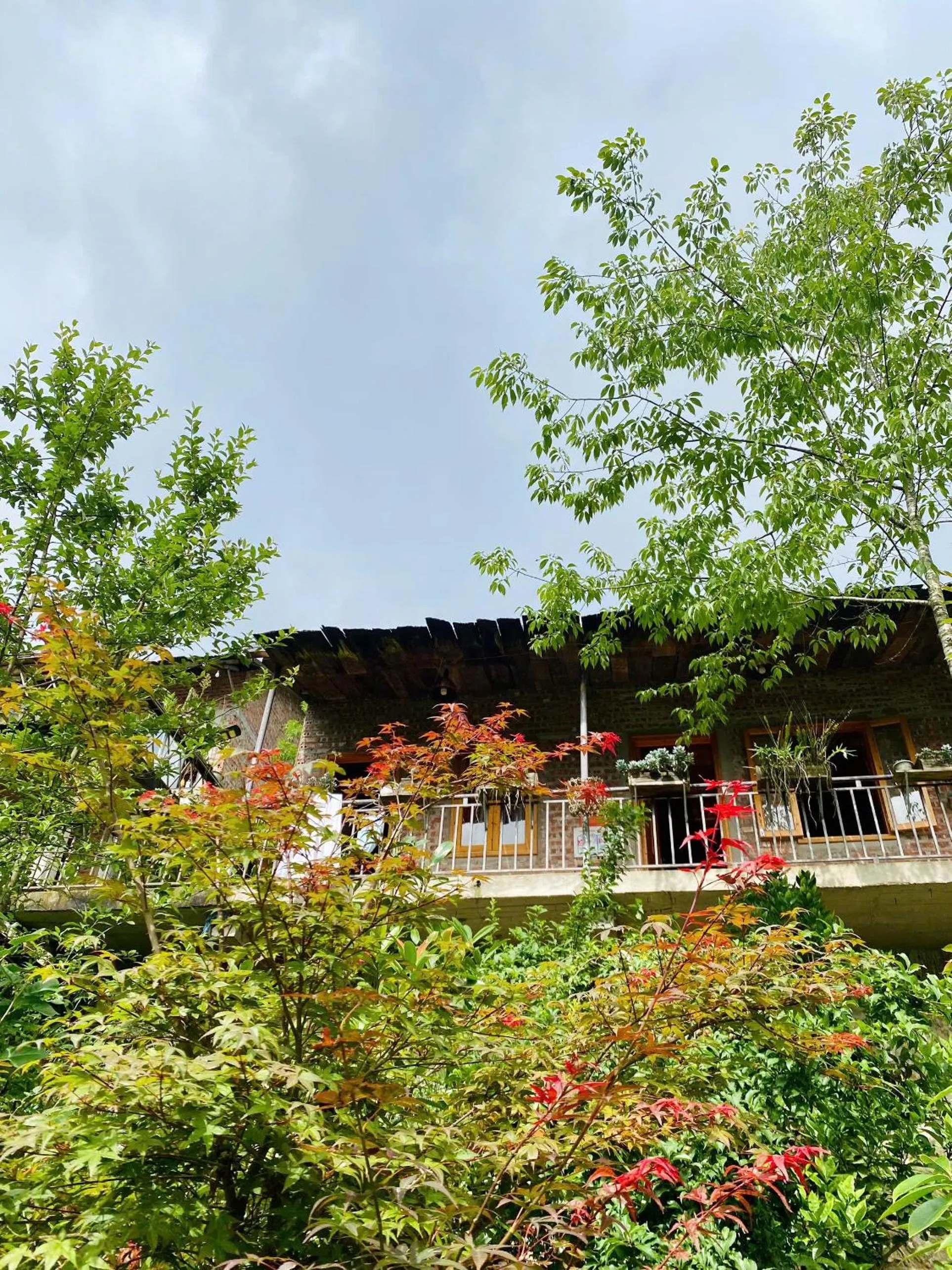 Spring in The Link farmstay