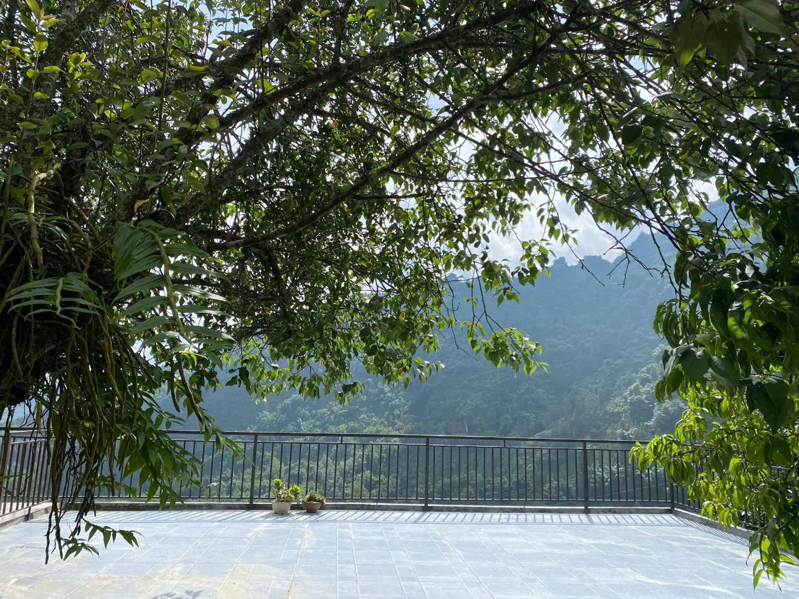 Natural landscape in The Link farmstay