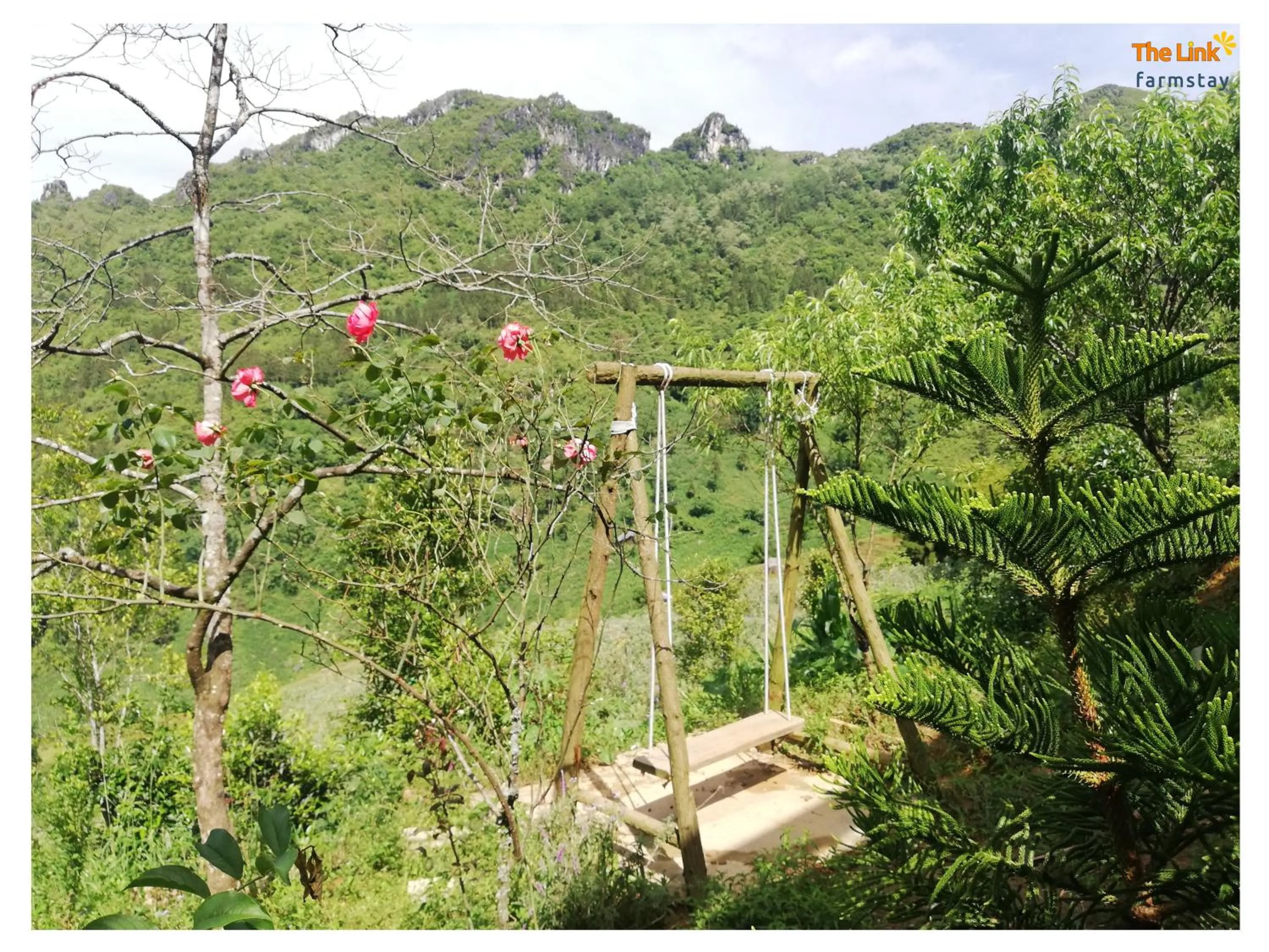 Natural landscape in The Link farmstay
