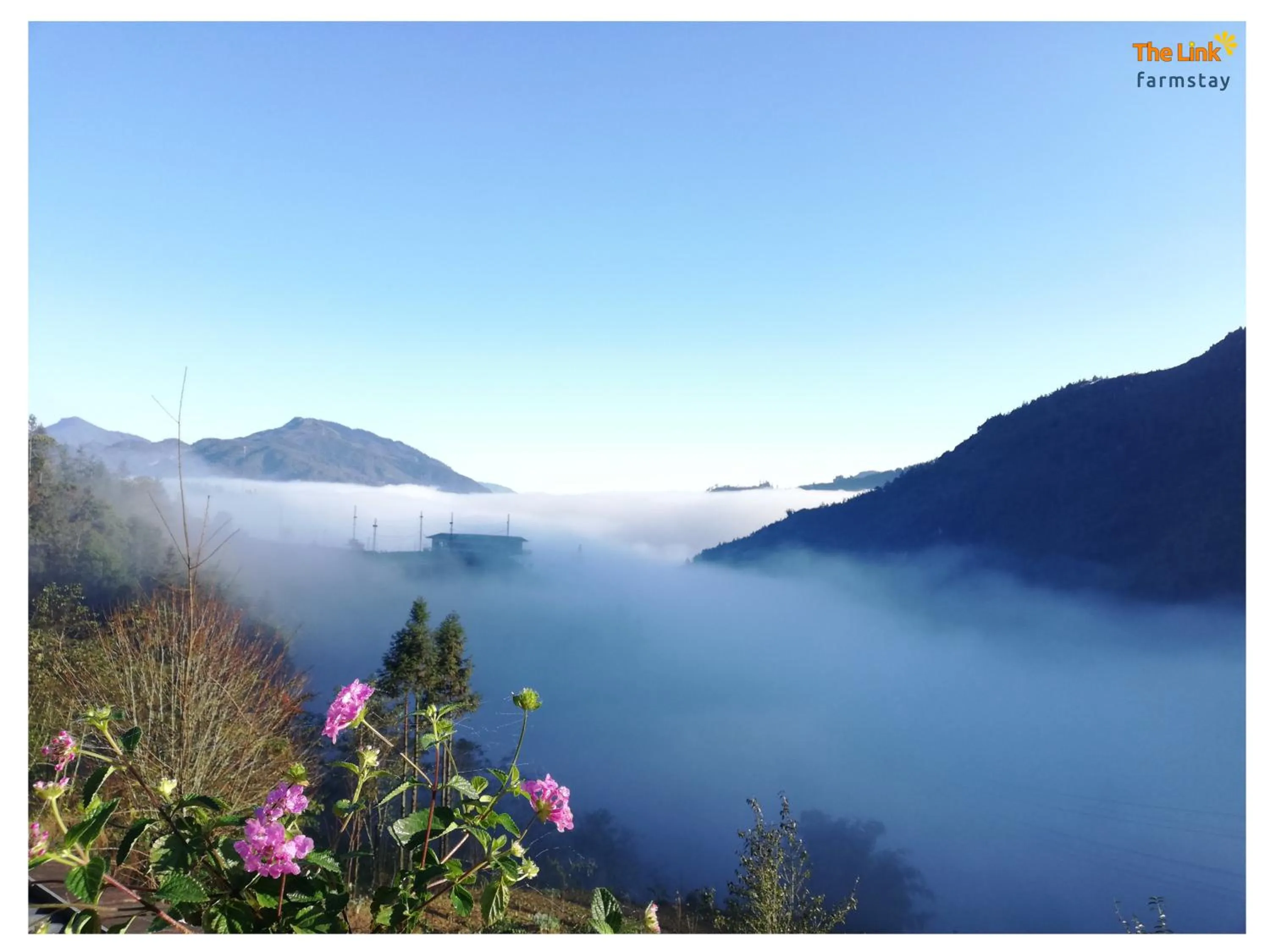 Natural landscape in The Link farmstay