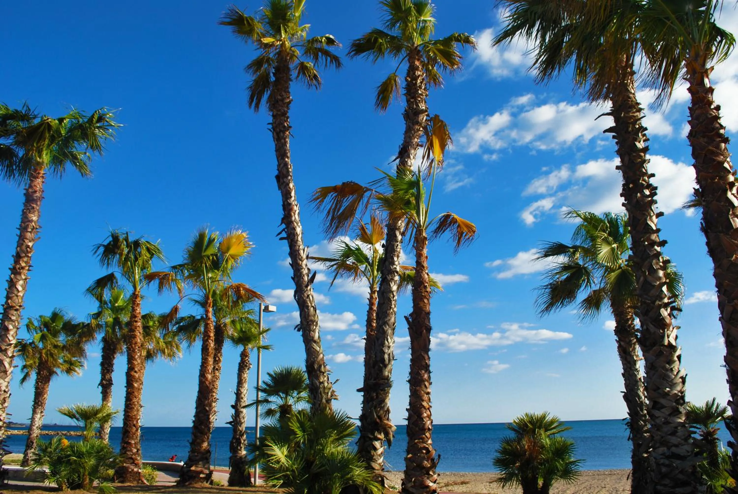 Neighbourhood in B&B Piazza Fratti