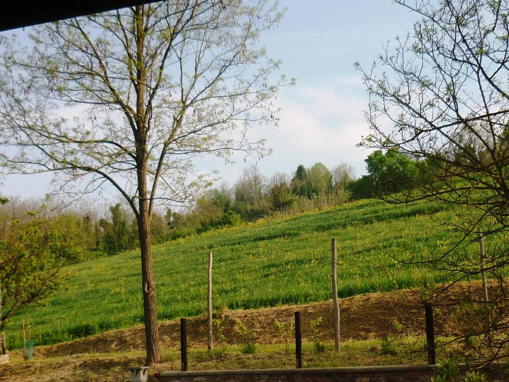 View (from property/room) in Bed And Breakfast Olimpia