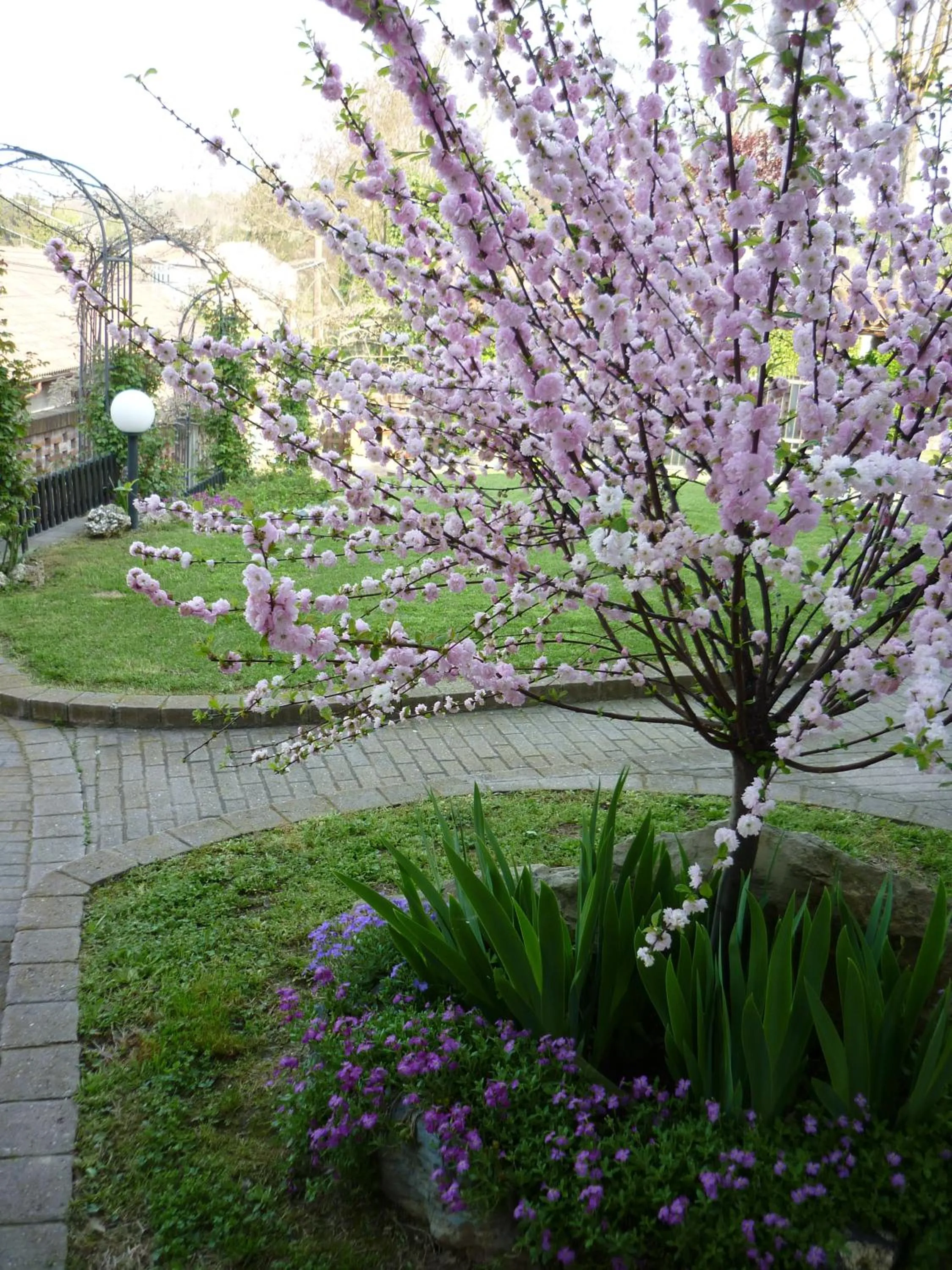 Garden in Bed And Breakfast Olimpia