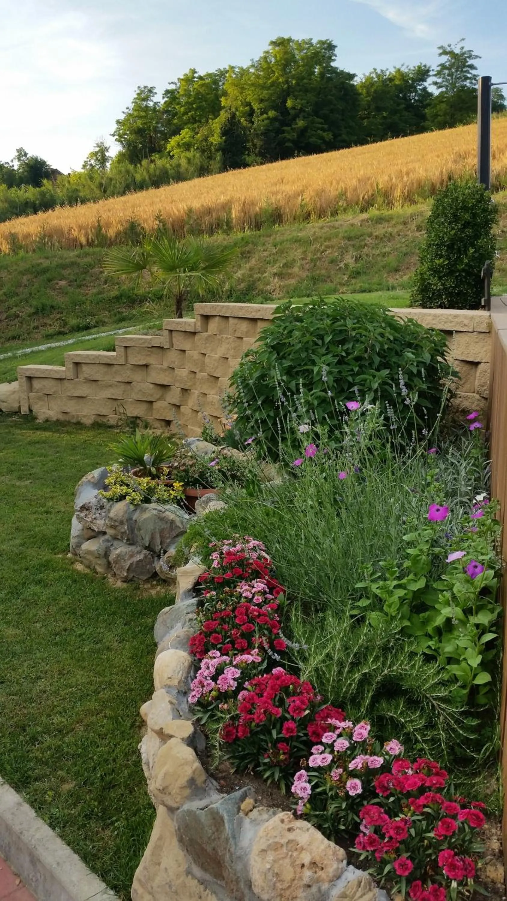 Natural landscape in Bed And Breakfast Olimpia